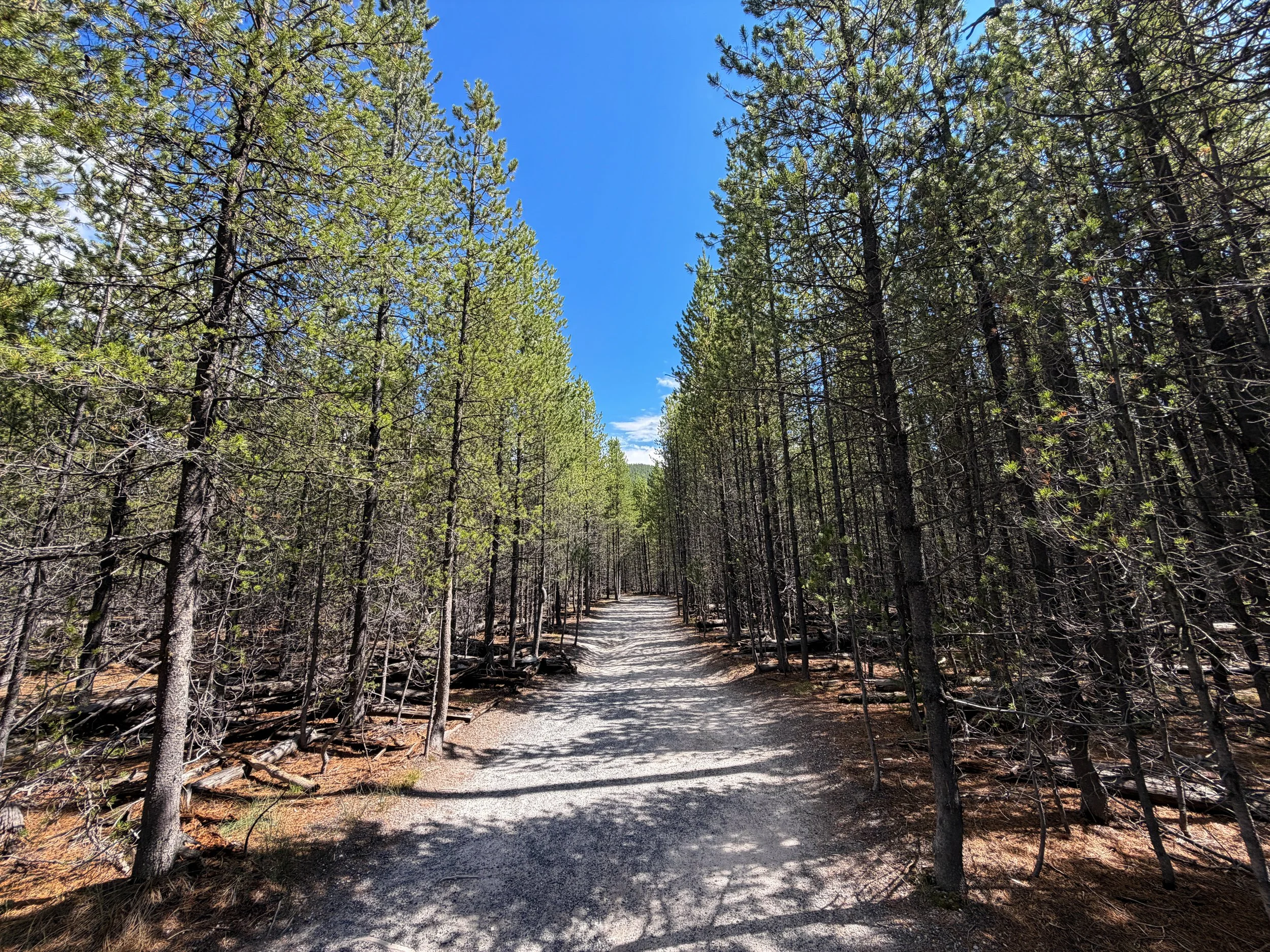 Artists Paintpots Trail Yellowstone National Park Wyoming
