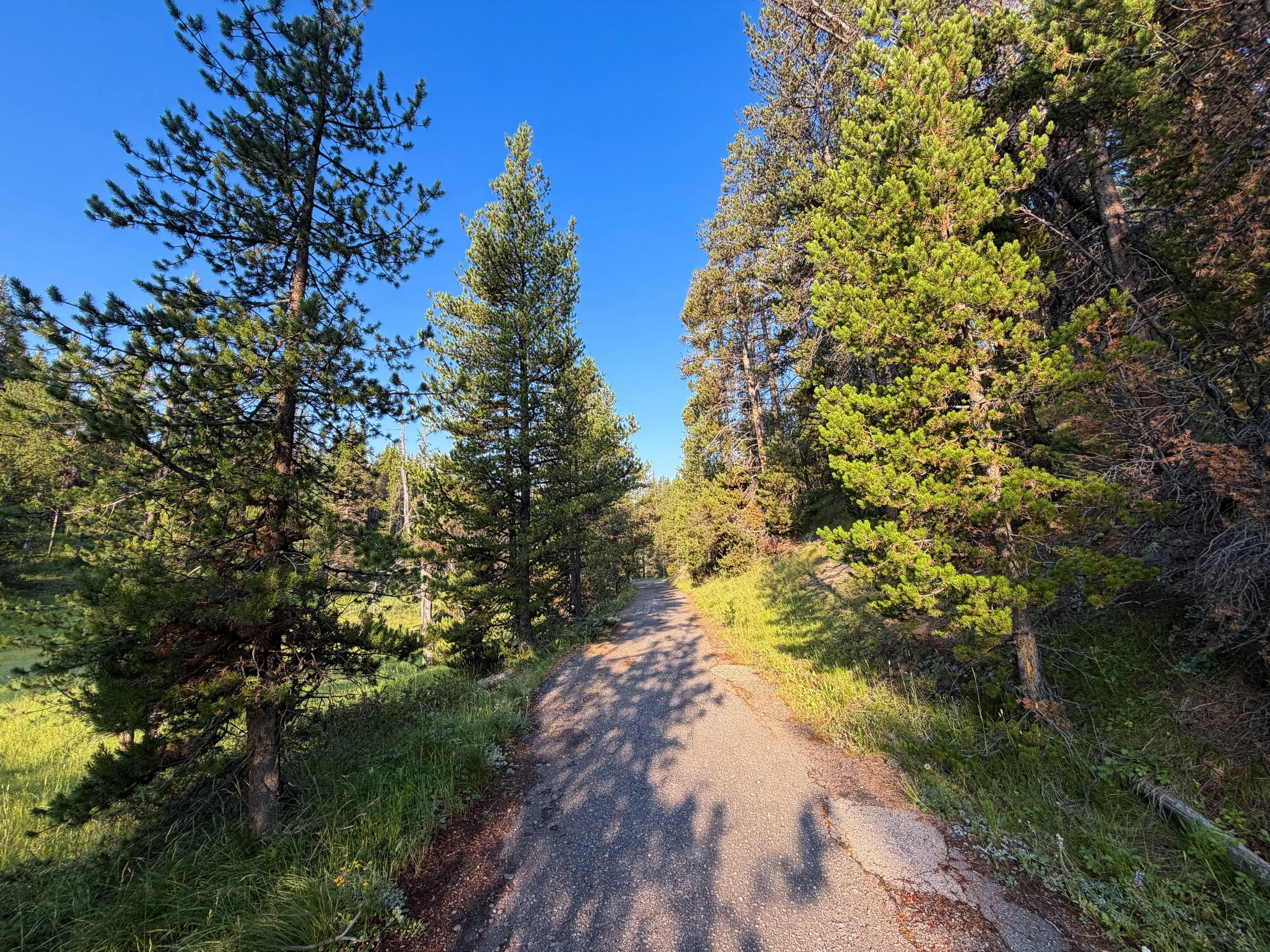 Natural Bridge Trail Yellowstone National Park Wyoming
