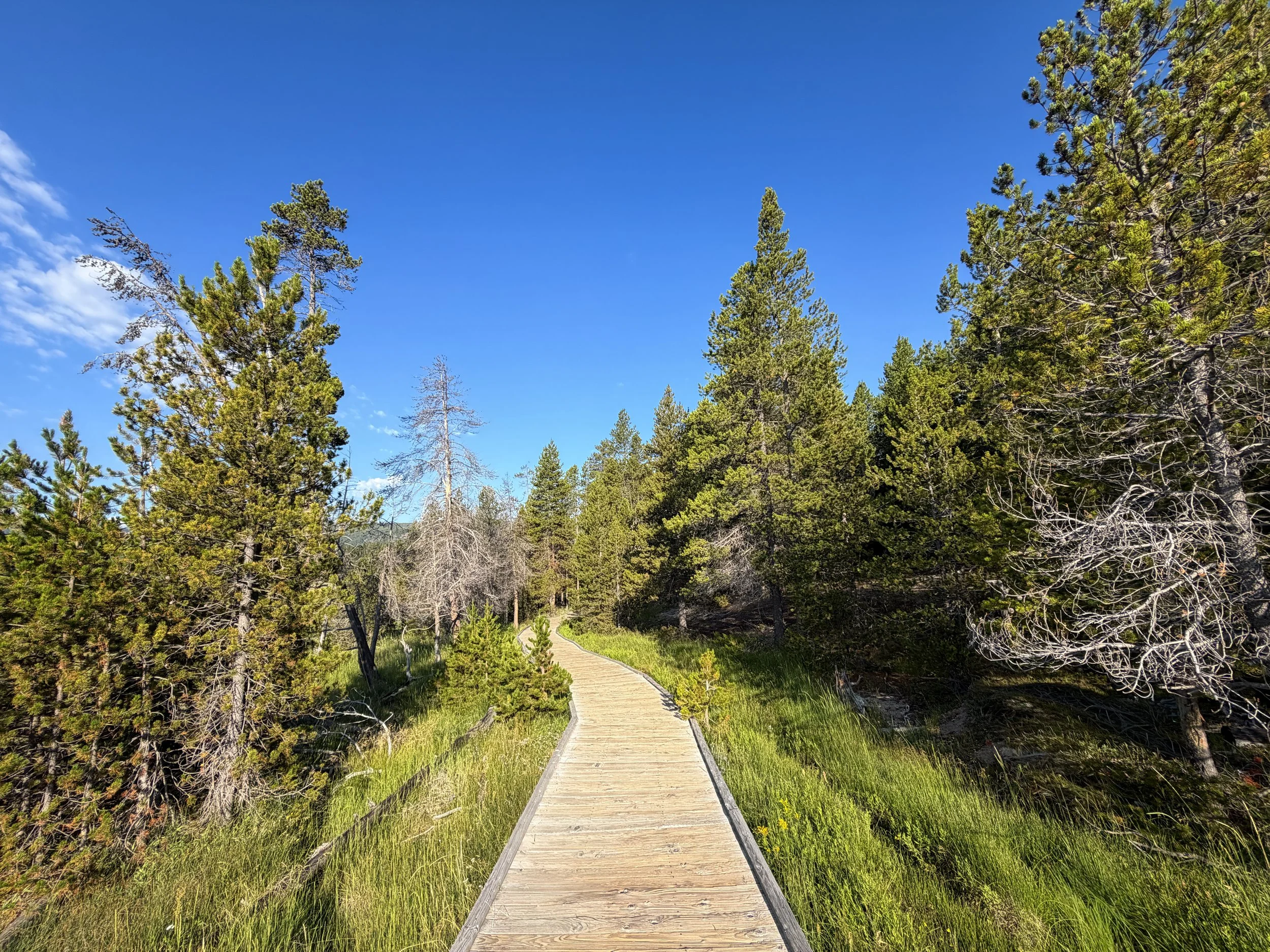 Upper Geyser Basin Trail Yellowstone National Park Wyoming
