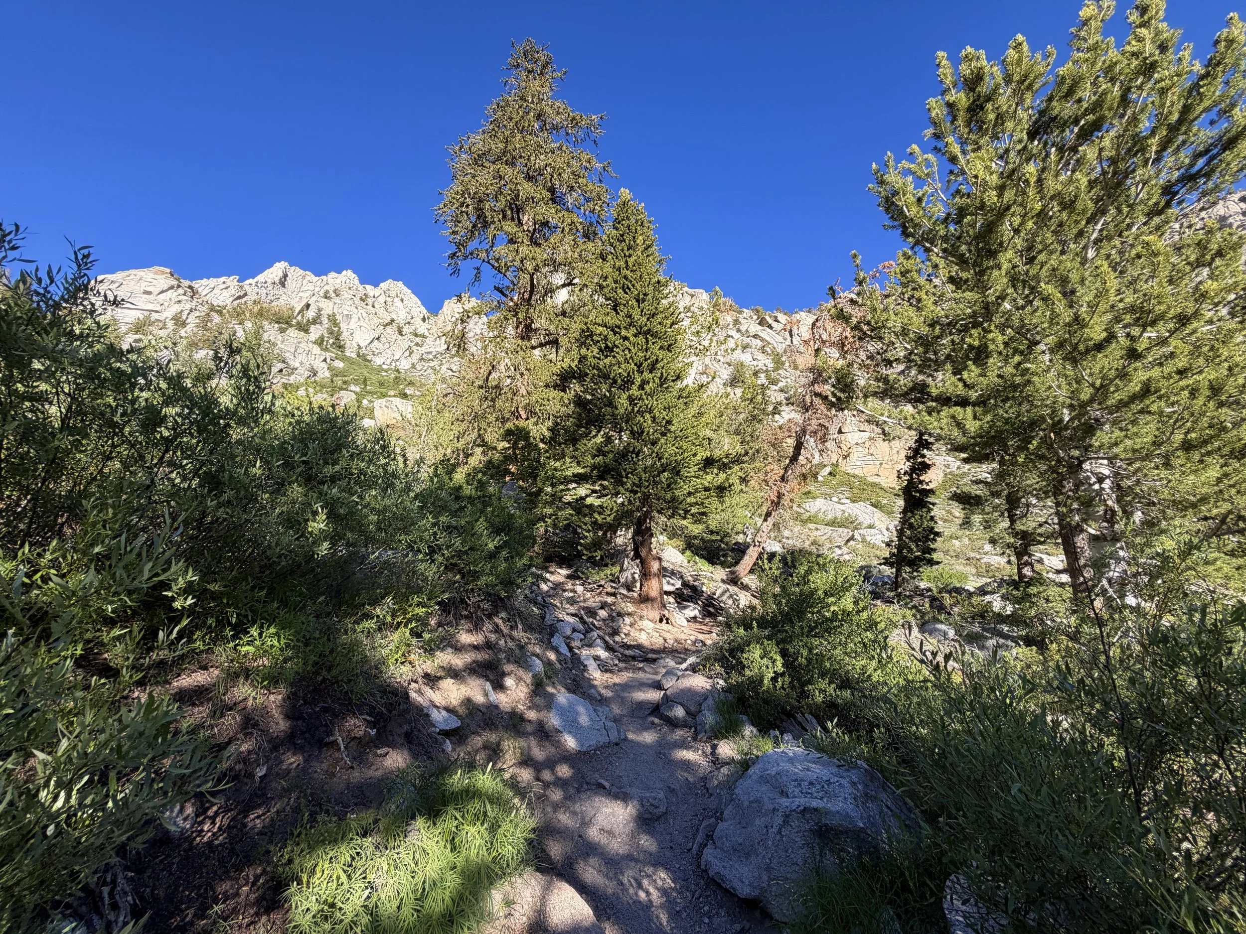 Mount Whitney Trail via Lone Pine California