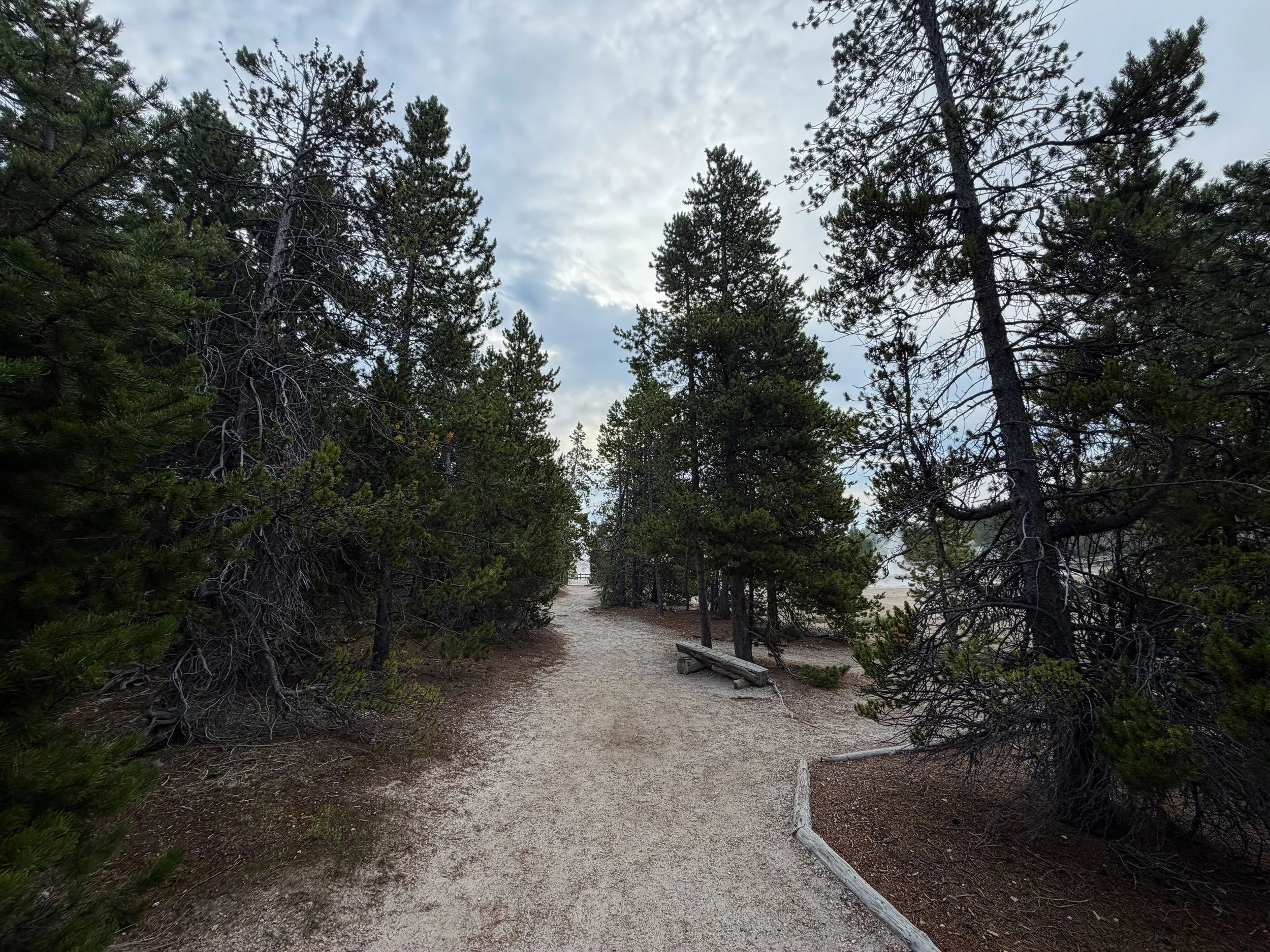 Porcelain Basin Boardwalk Trail Yellowstone National Park Wyoming