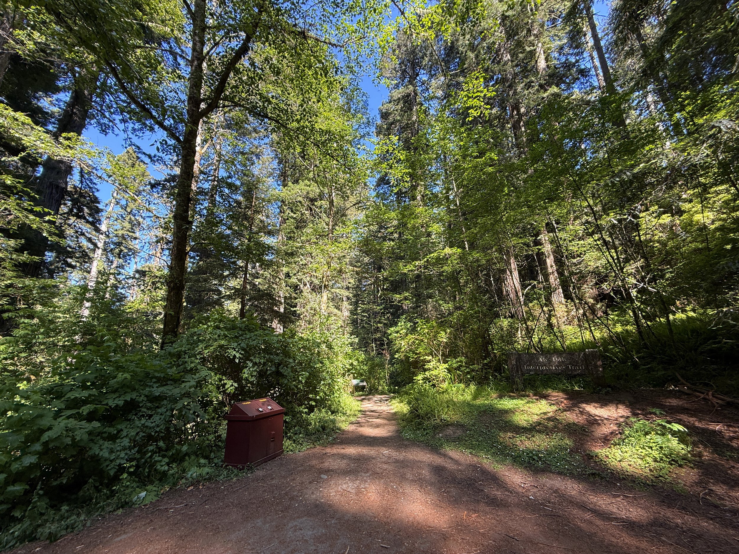 Ah Pah Interpretive Trailhead Prairie Creek Redwoods State Park California