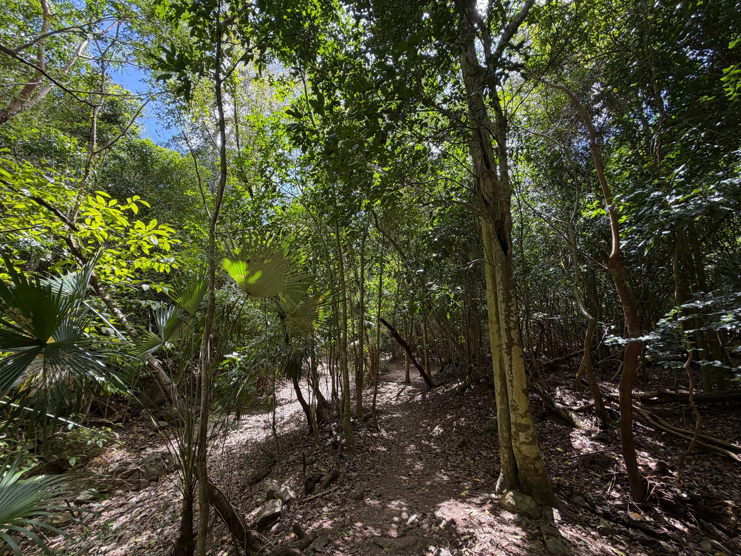 Reef Bay Trail Virgin Islands National Park