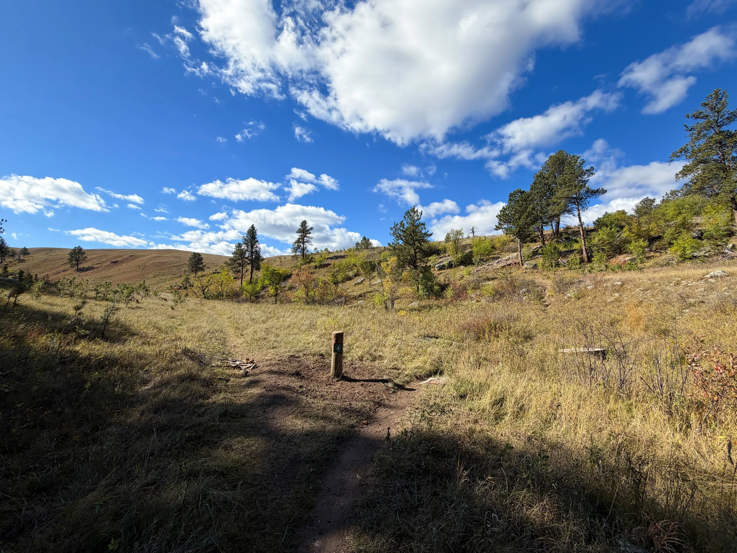 Lookout Point Loop Trail Wind Cave National Park South Dakota