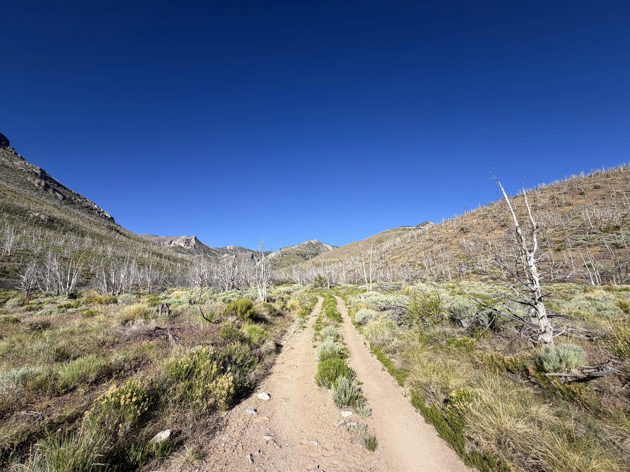 Lexington Arch Trail Great Basin National Park Nevada