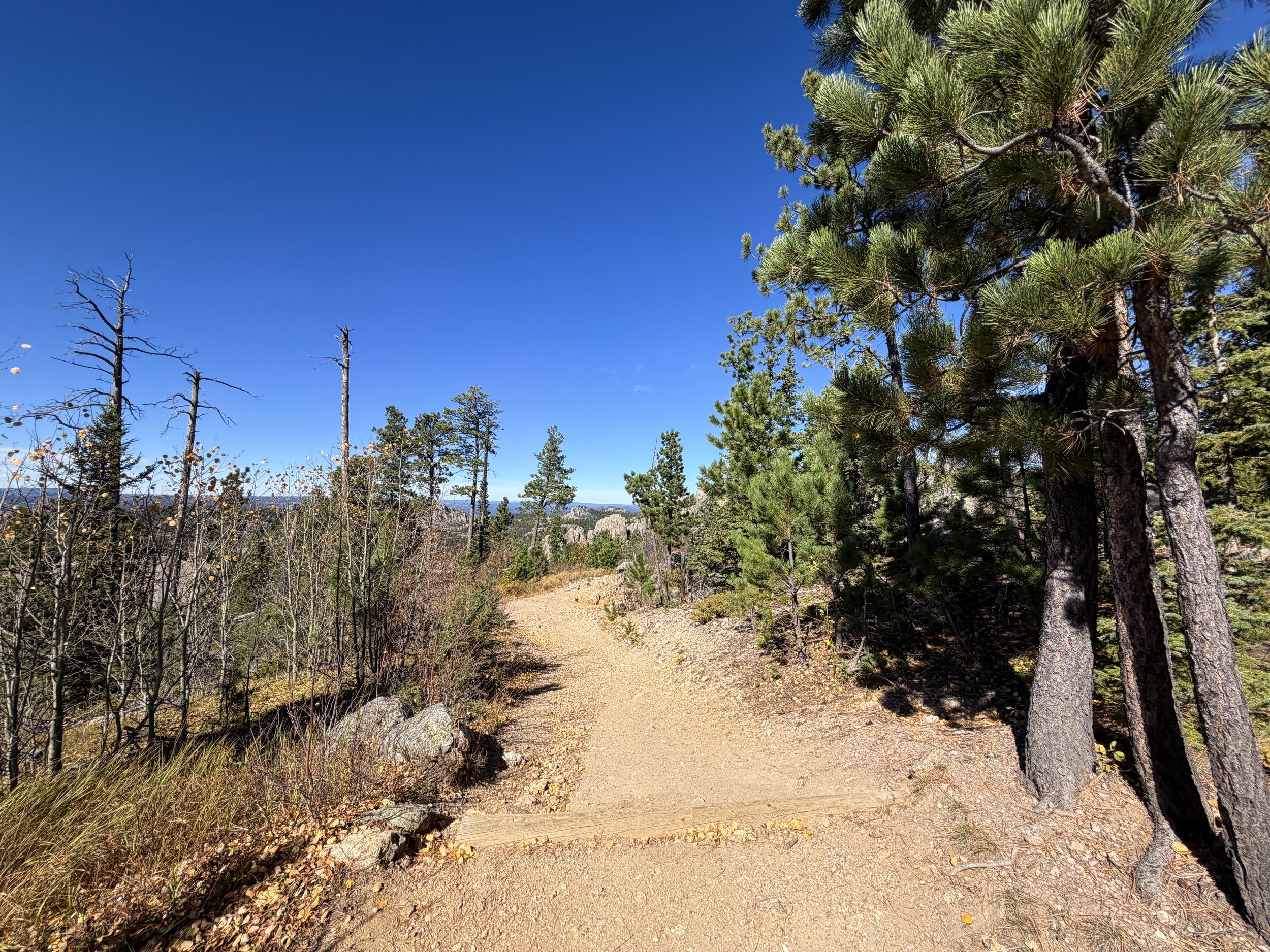 Black Elk Peak Hike Custer State Park Black Hills South Dakota