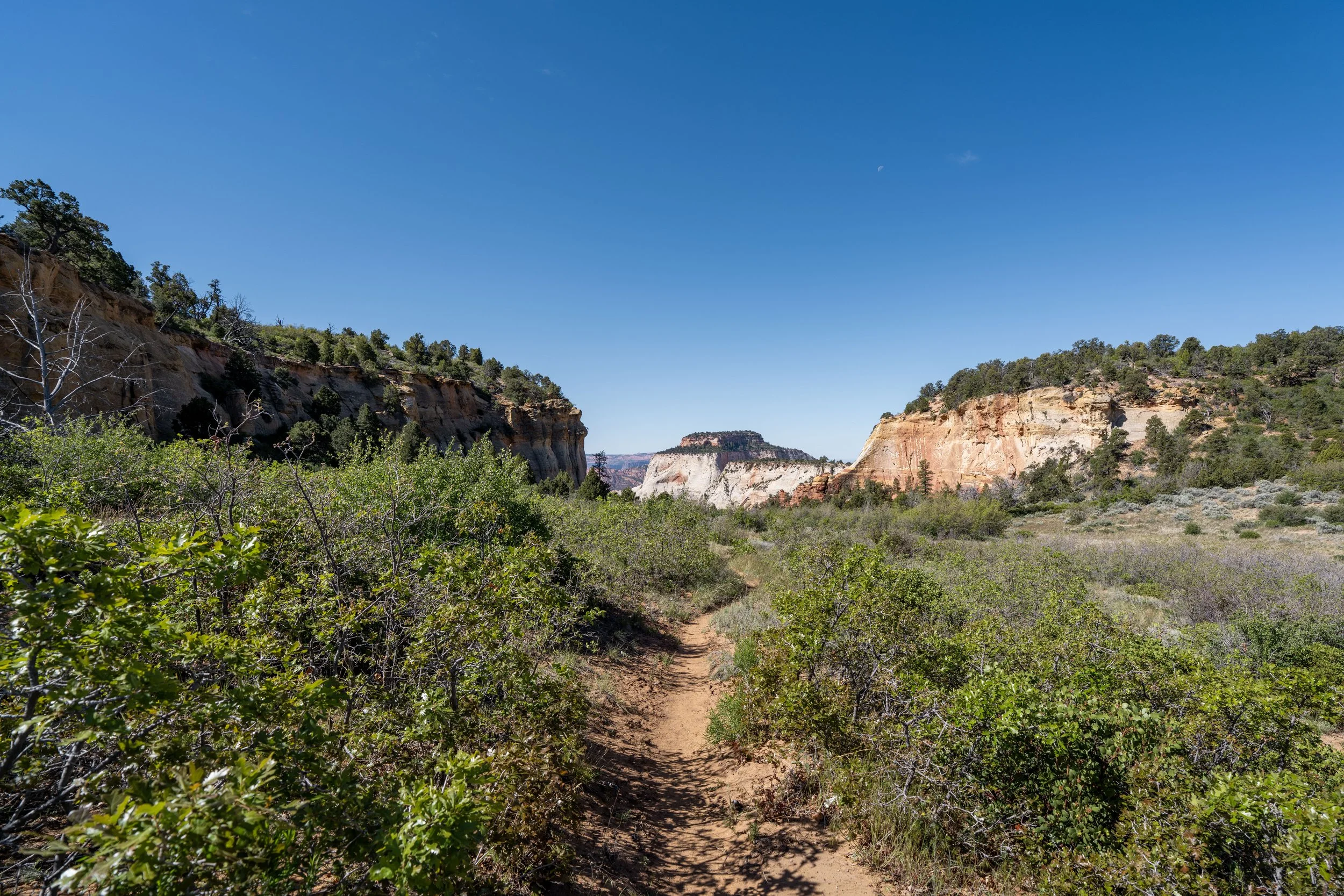 Deertrap Mountain Trail Zion National Park Utah