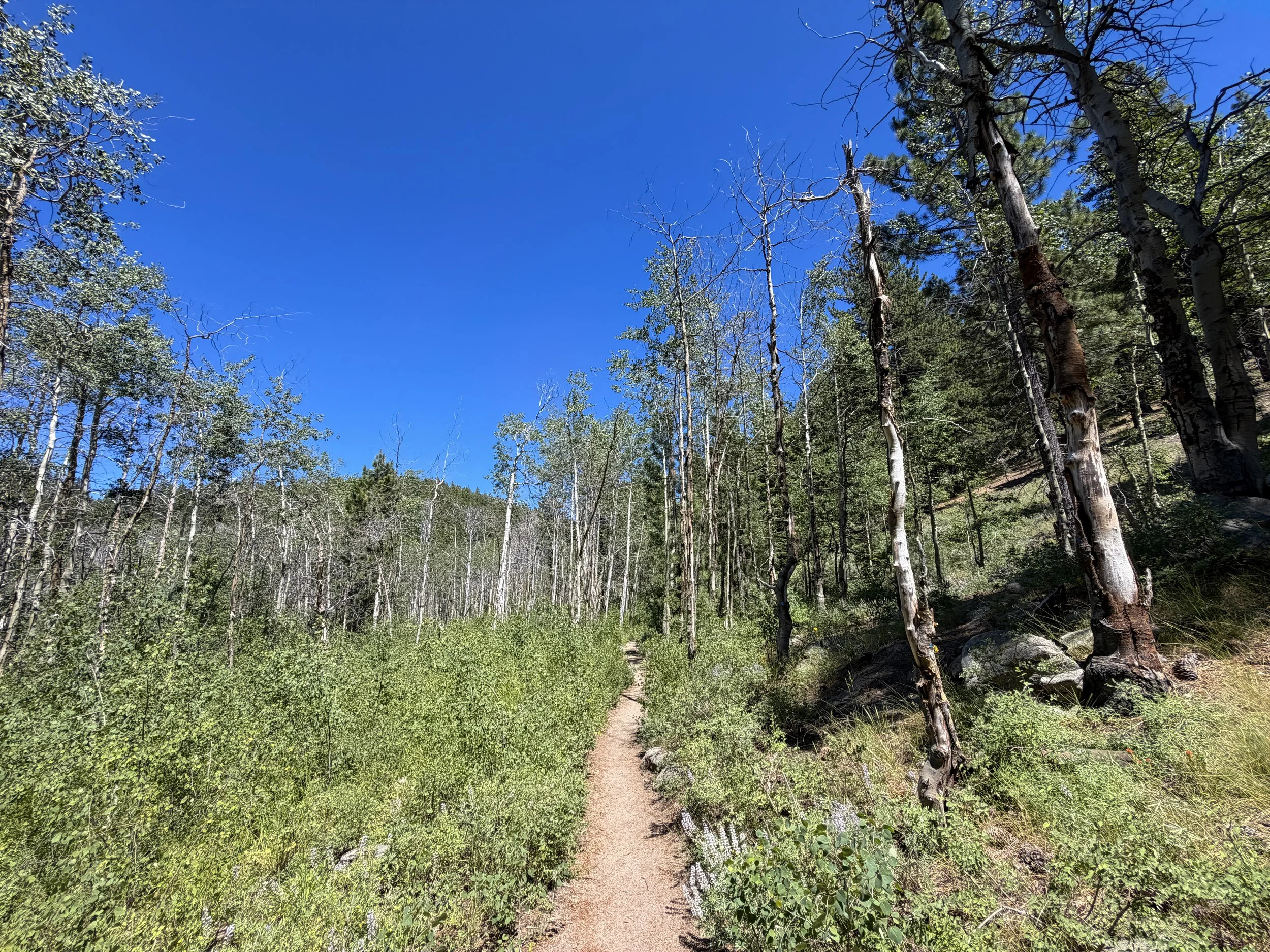 Spooner Lake Loop Trail Lake Tahoe Nevada
