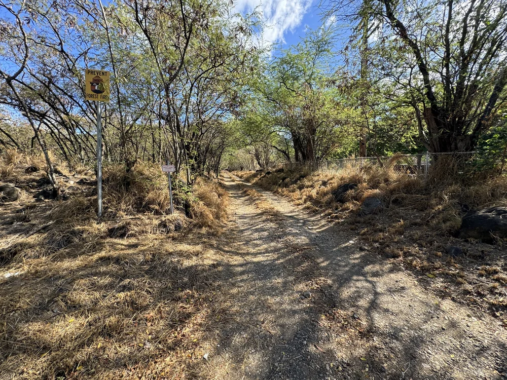 Hiking the Keaʻau Middle Ridge Trail on Oʻahu, Hawaiʻi — noahawaii