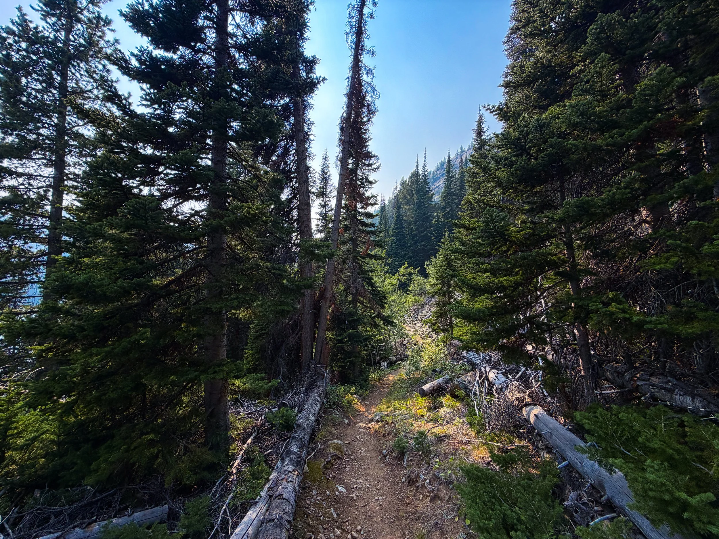 Beaten Path Trail Beartooth Mountains Montana