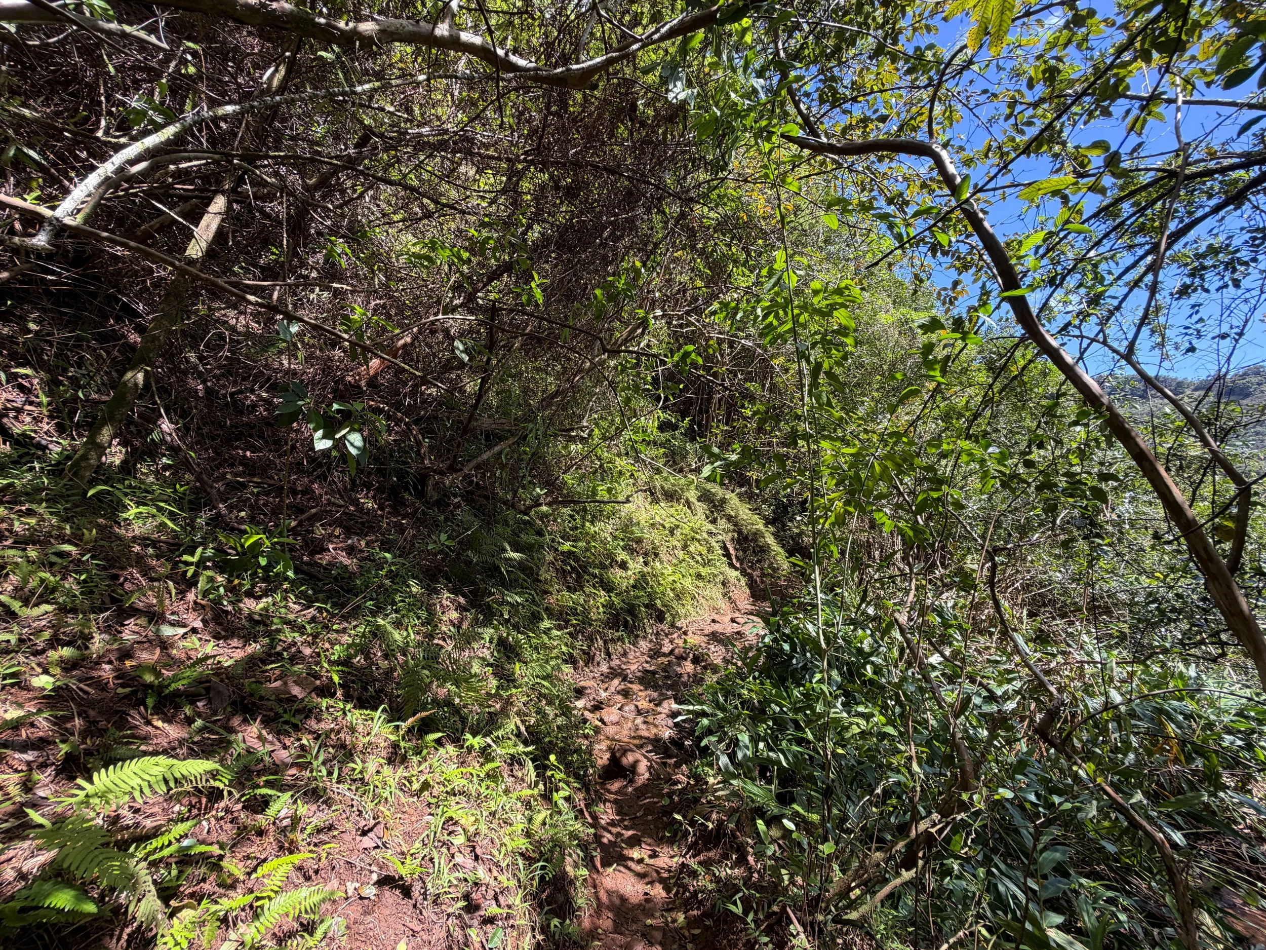 Waimano Pools Trail Oahu Hawaii