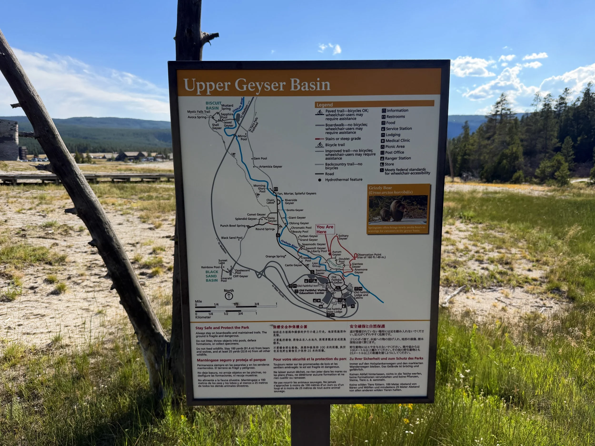 Upper Geyser Hill Trail Yellowstone National Park Wyoming