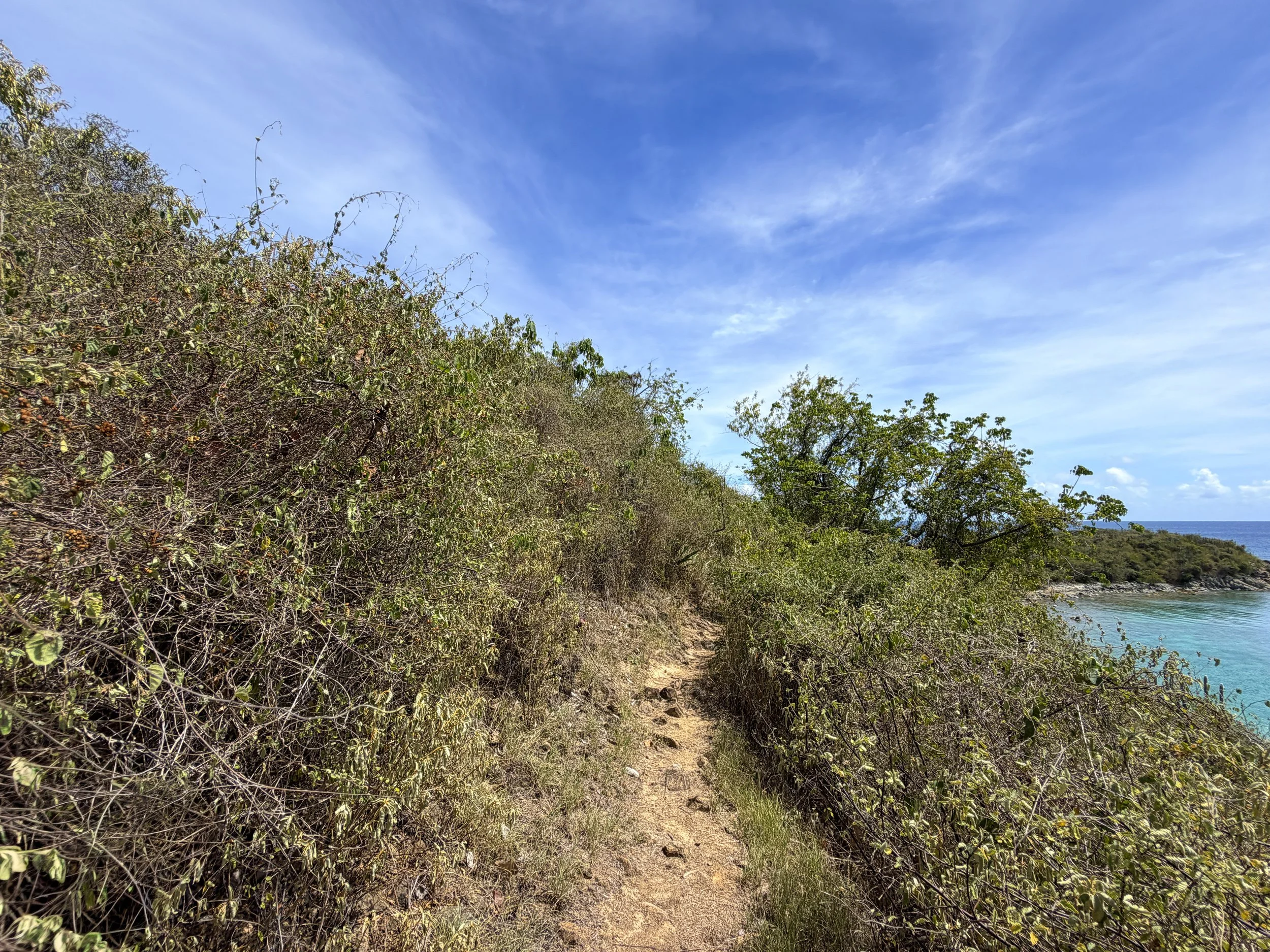 Yawzi Point Hike Virgin Islands National Park