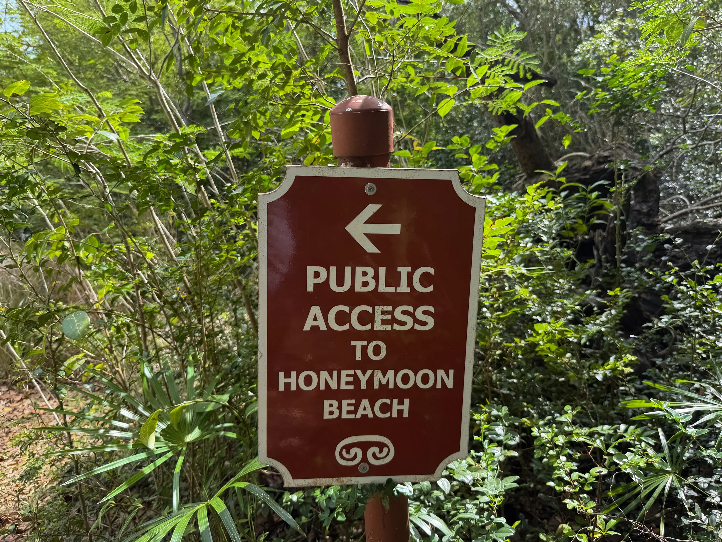 Honeymoon Beach Lind Point Trail Virgin Islands National Park