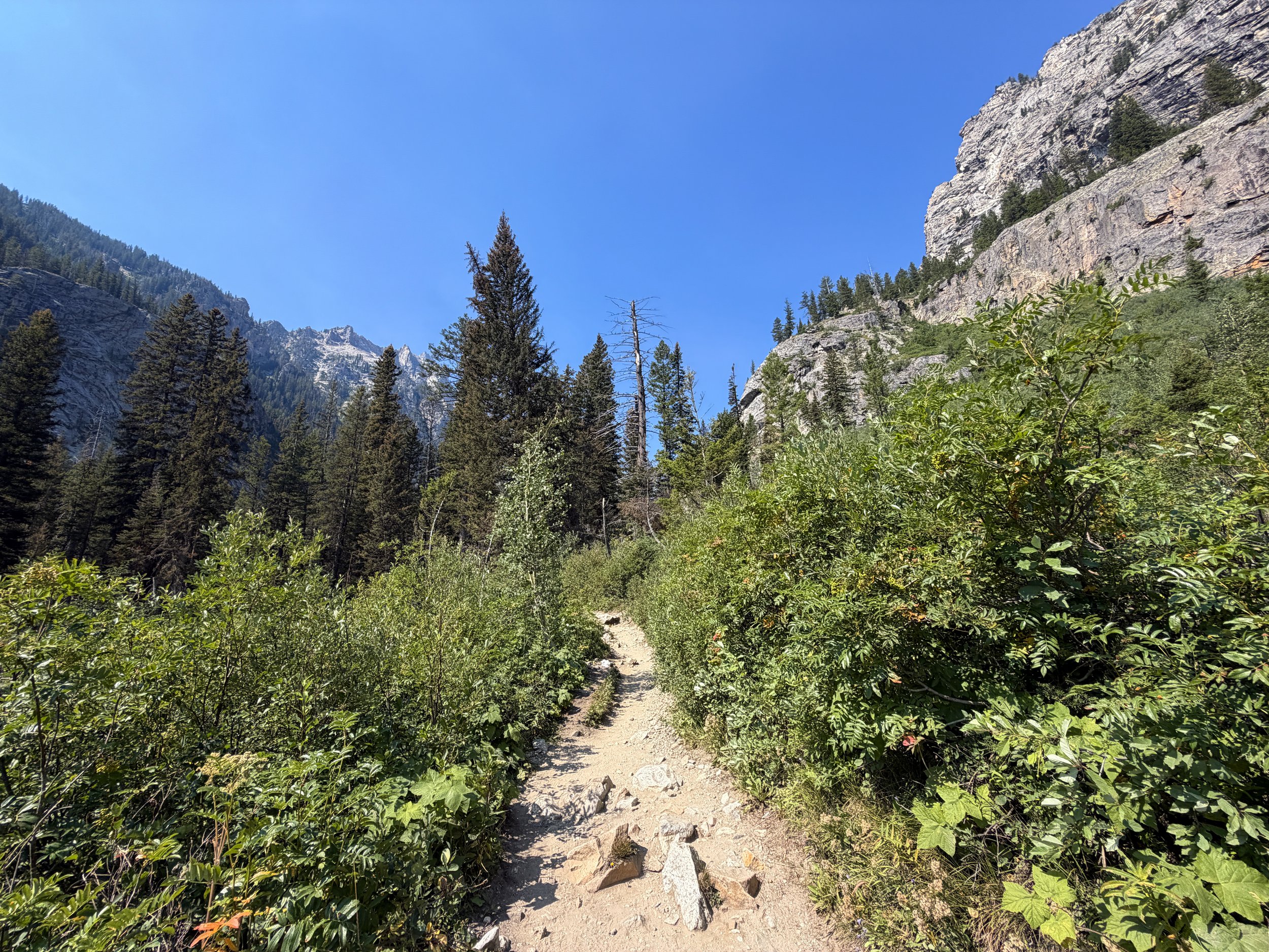 Cascade Canyon Trail Grand Teton National Park Wyoming