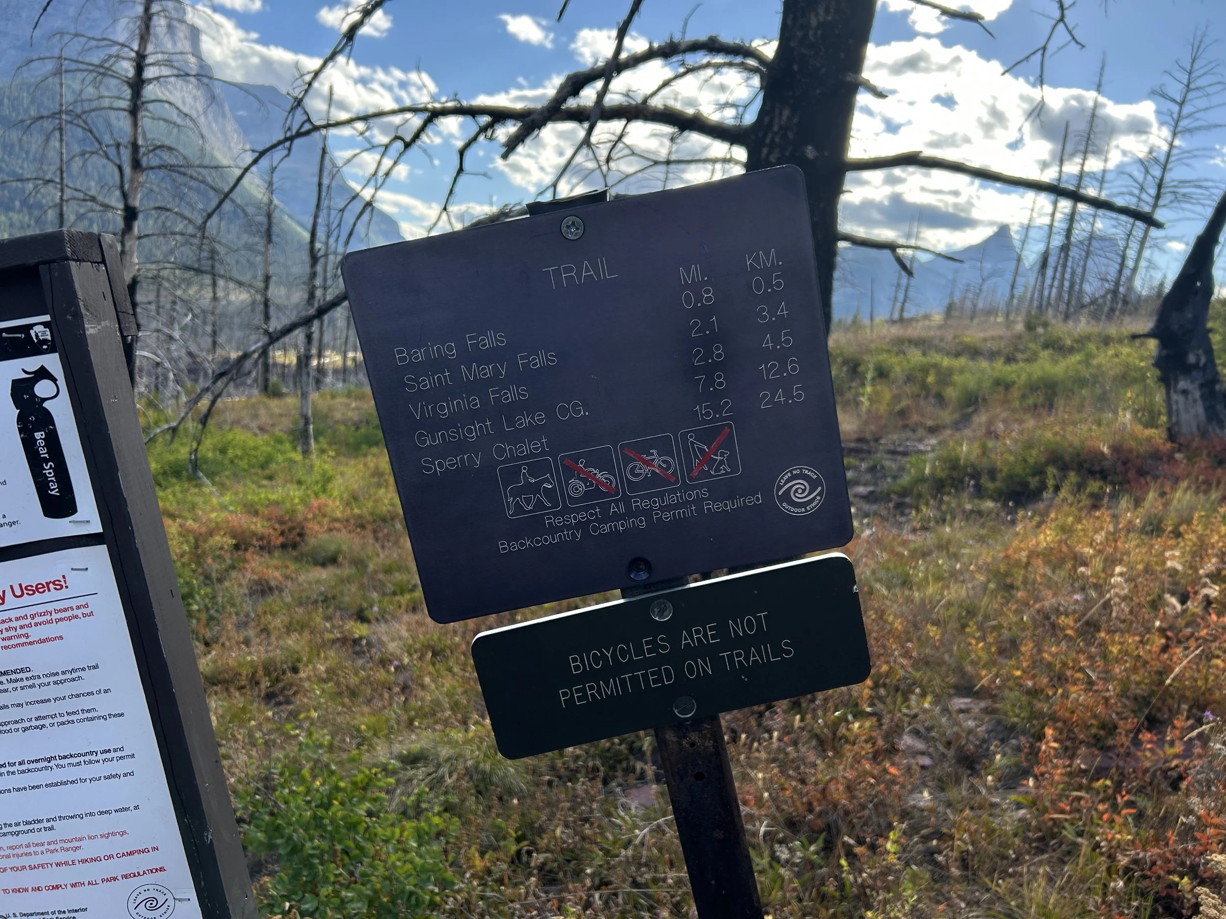 Hiking the St. Mary & Virginia Falls Trail in Glacier National Park ...