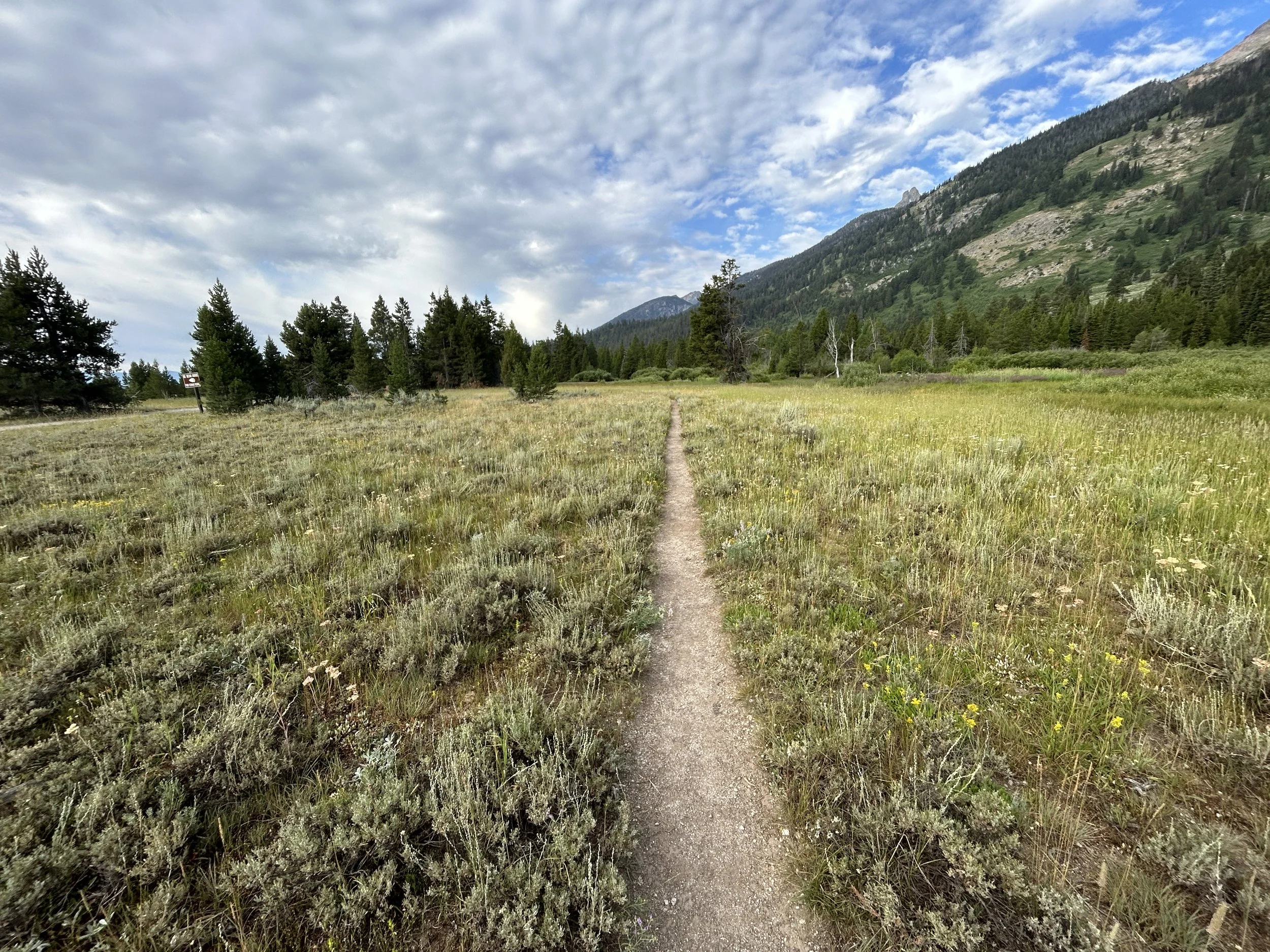 Hiking the Moose Ponds Loop Trail in Grand Teton National Park — noahawaii