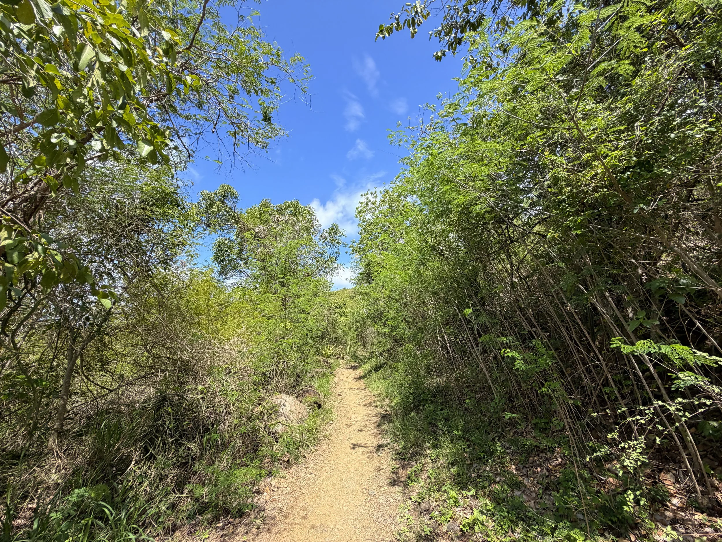 Lind Point Trail Virgin Islands National Park