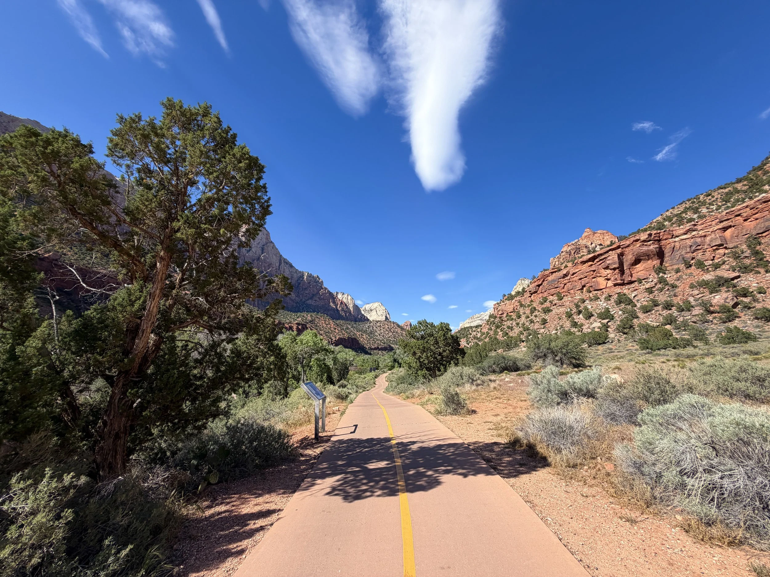 Parus Hike Zion National Park Utah
