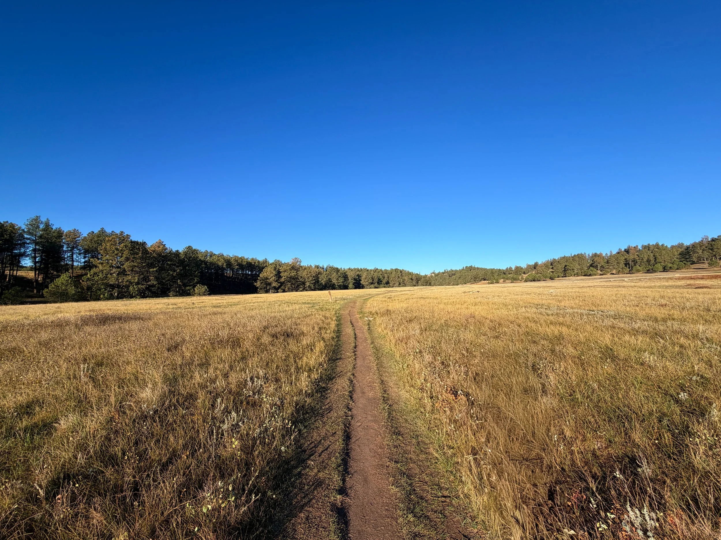 Cold Brook Canyon Trail Wind Cave National Park South Dakota