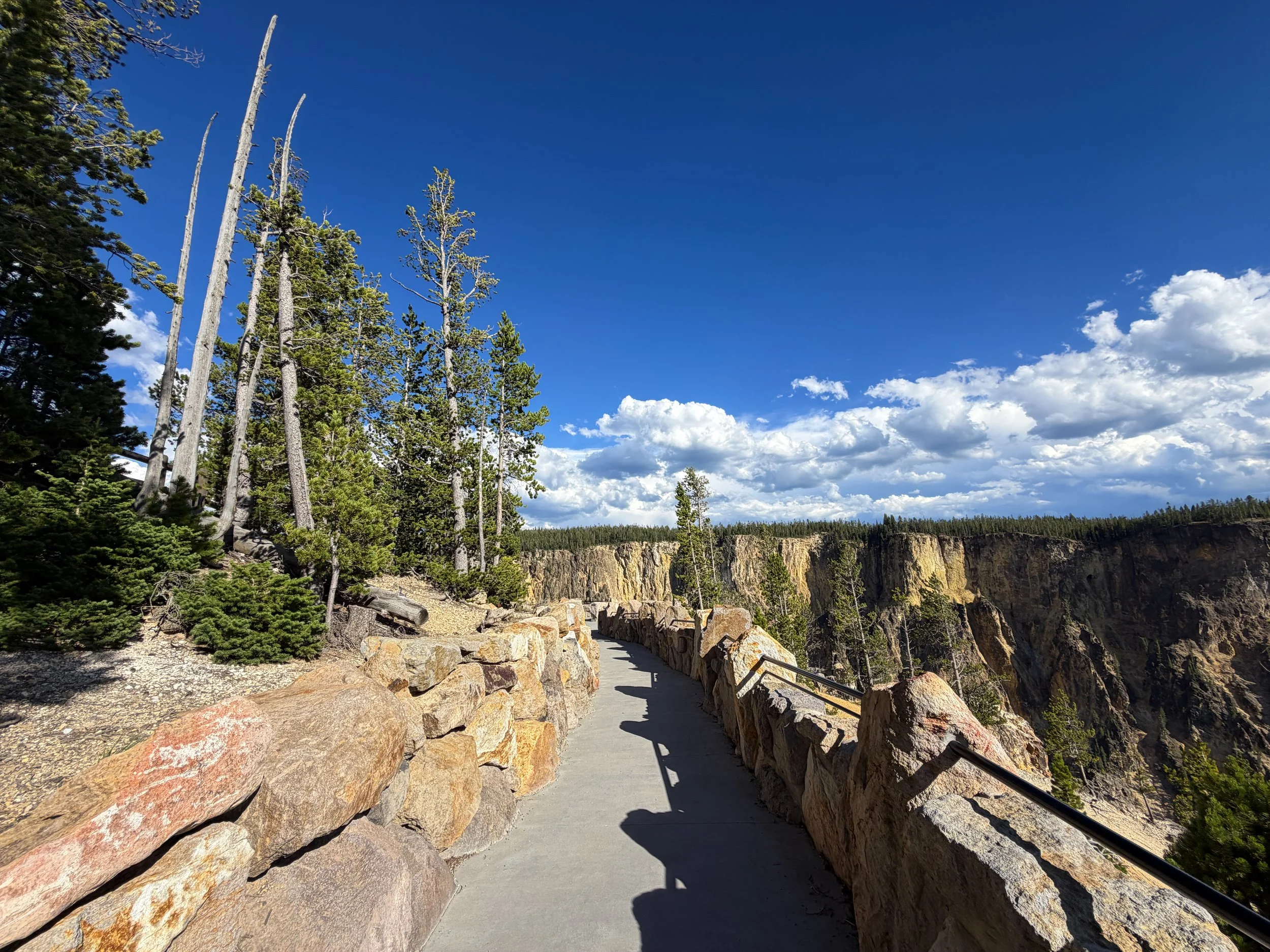 Inspiration Point North Rim Trail Yellowstone National Park Wyoming