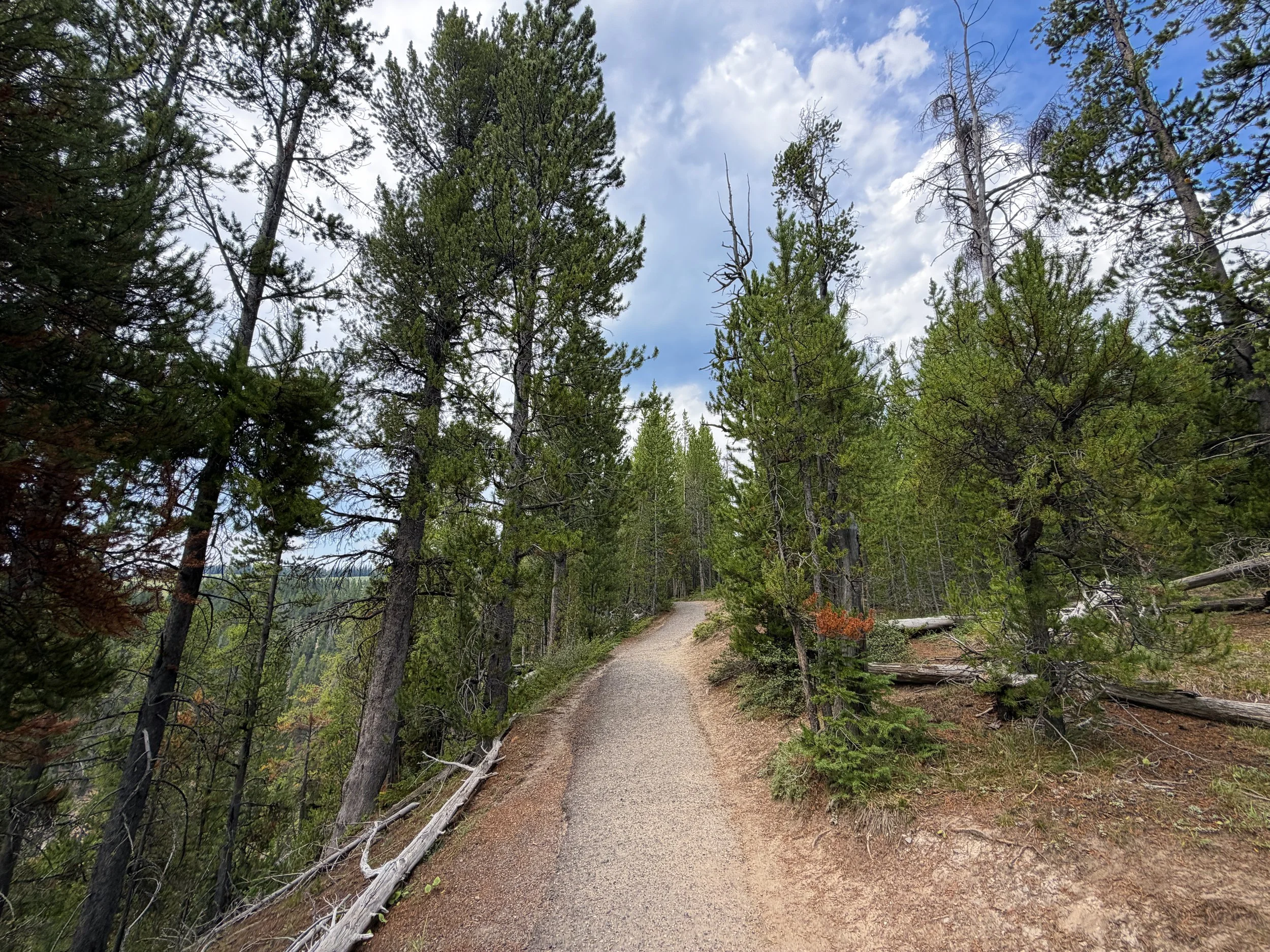 South Rim Hike Yellowstone National Park Wyoming