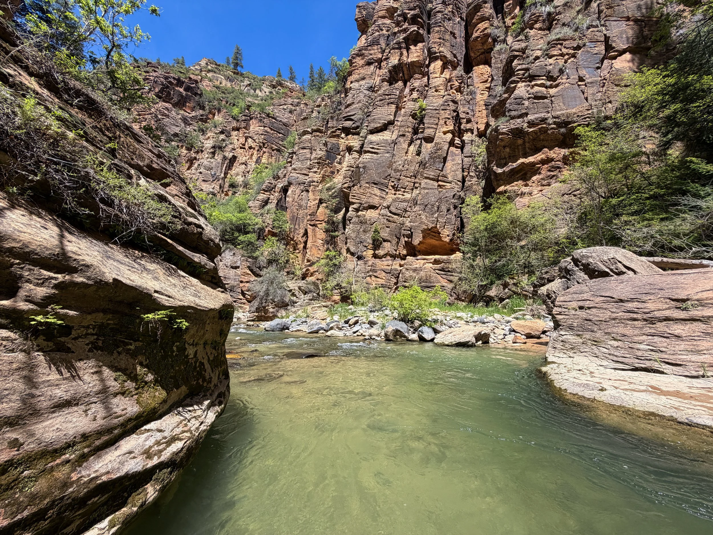 The Narrows Zion National Park Utah