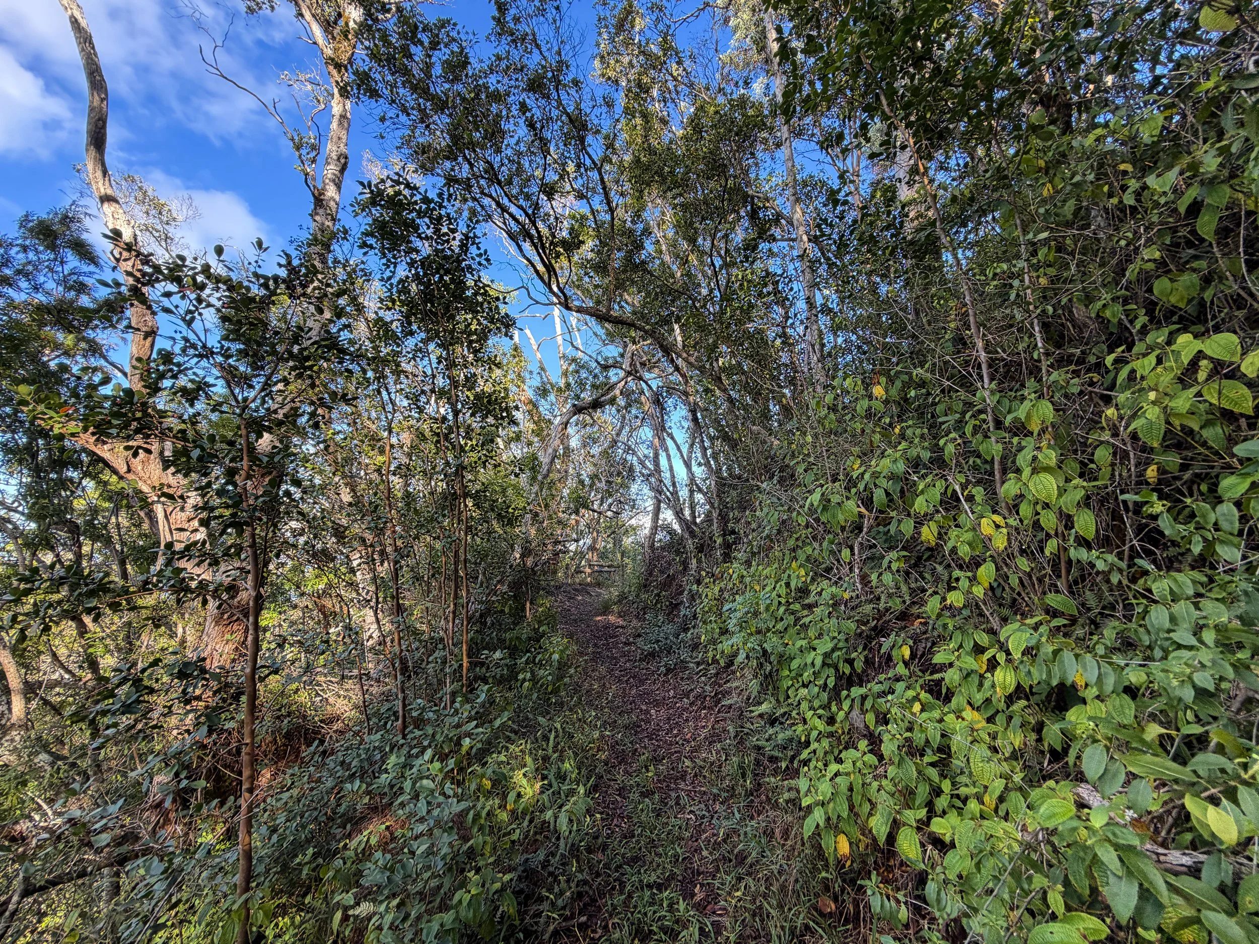 Mokuleia Trail Oahu Hawaii