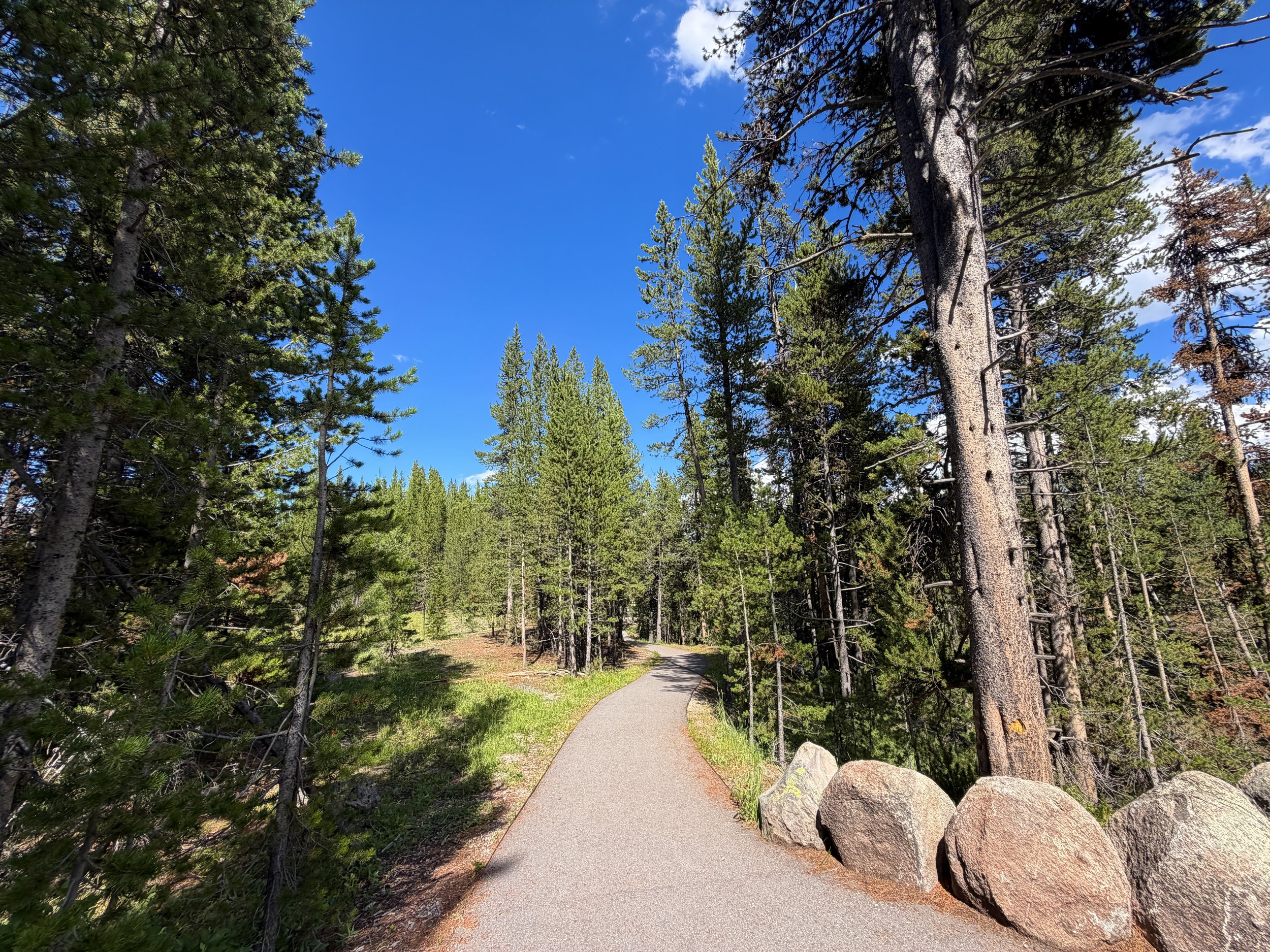 North Rim Trail Yellowstone National Park Wyoming