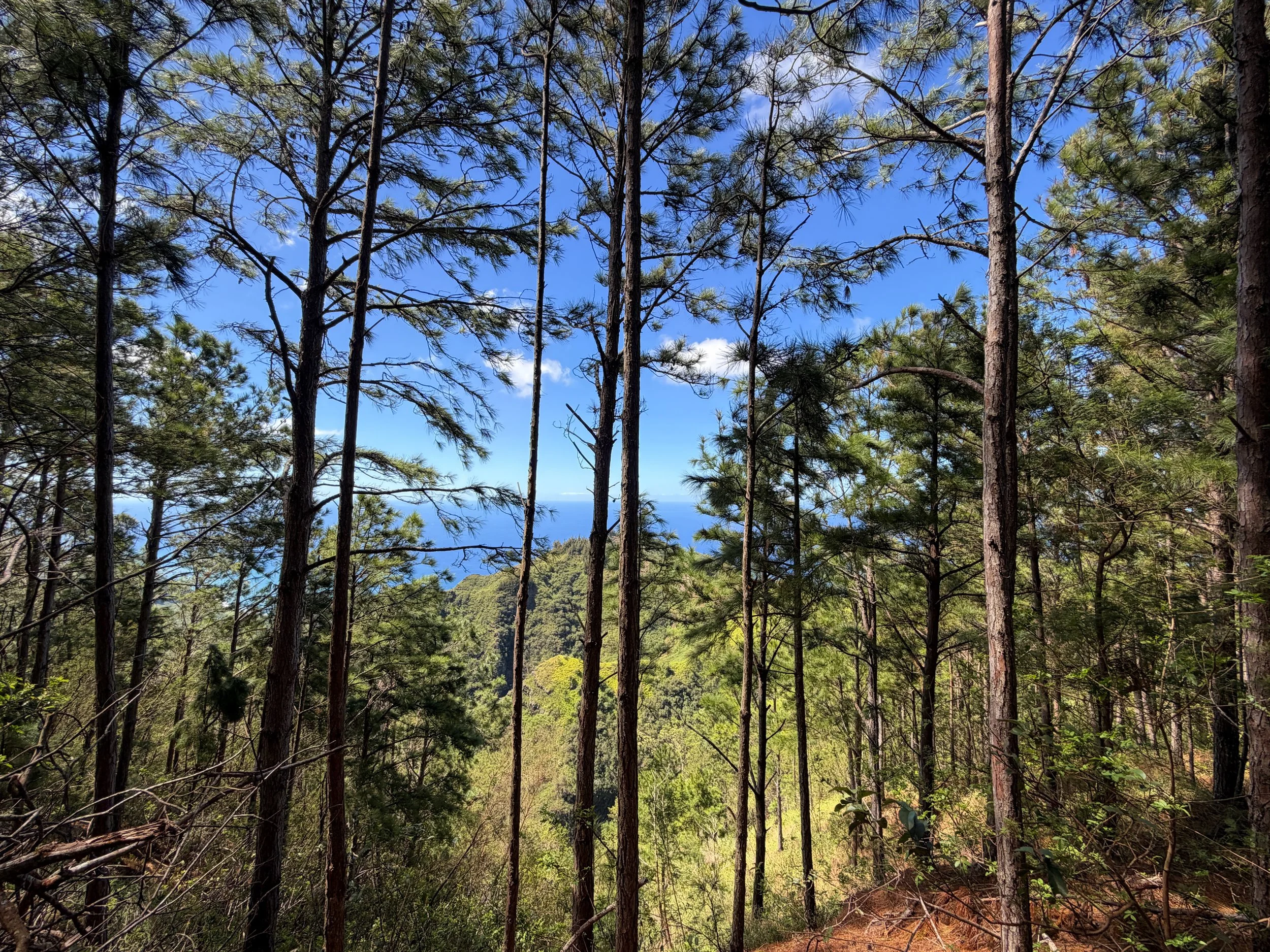 Kuaokala Trail Oahu Hawaii