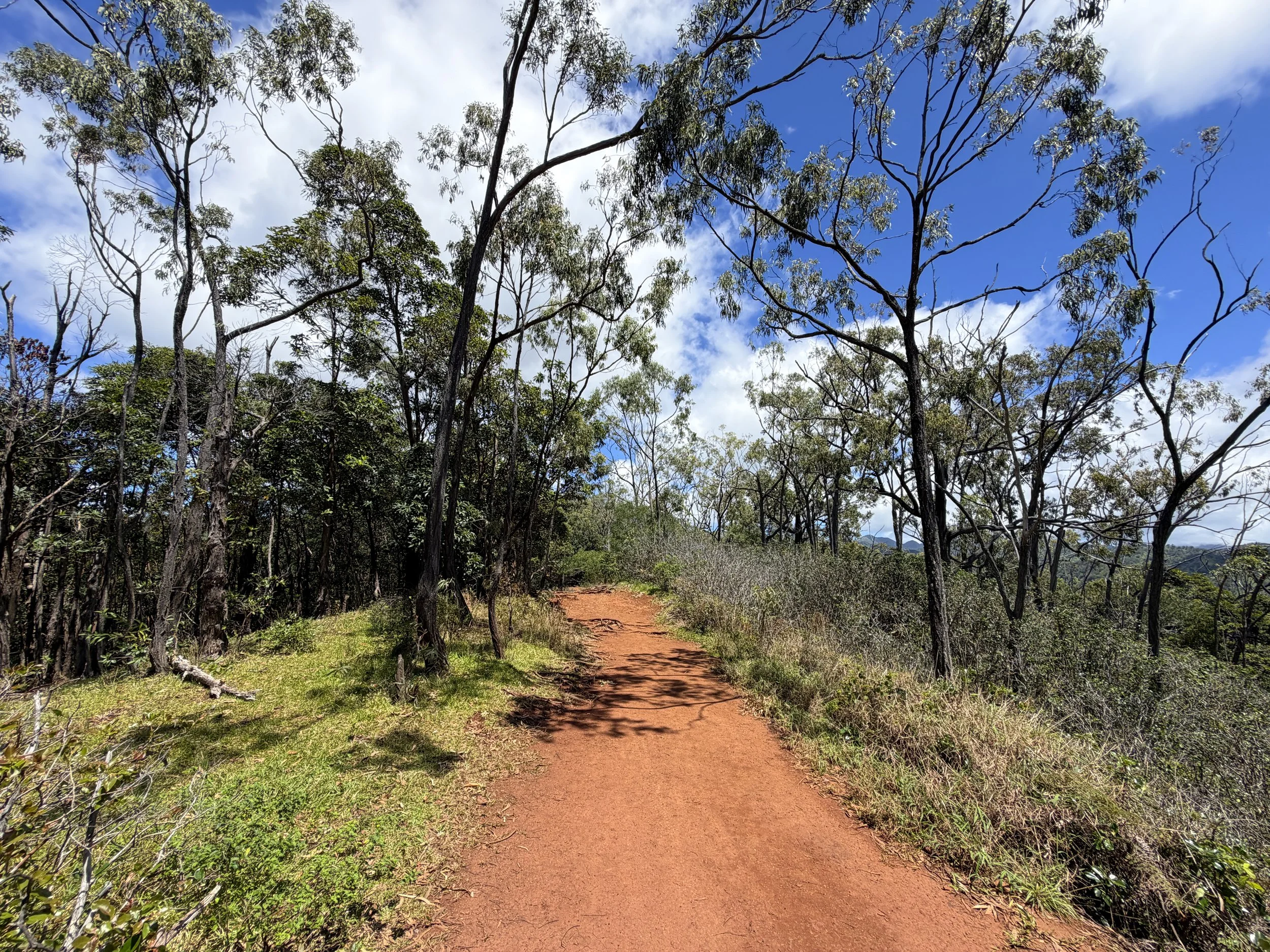 Manana Ridge Trail to Waimano Falls Oahu Hawaii