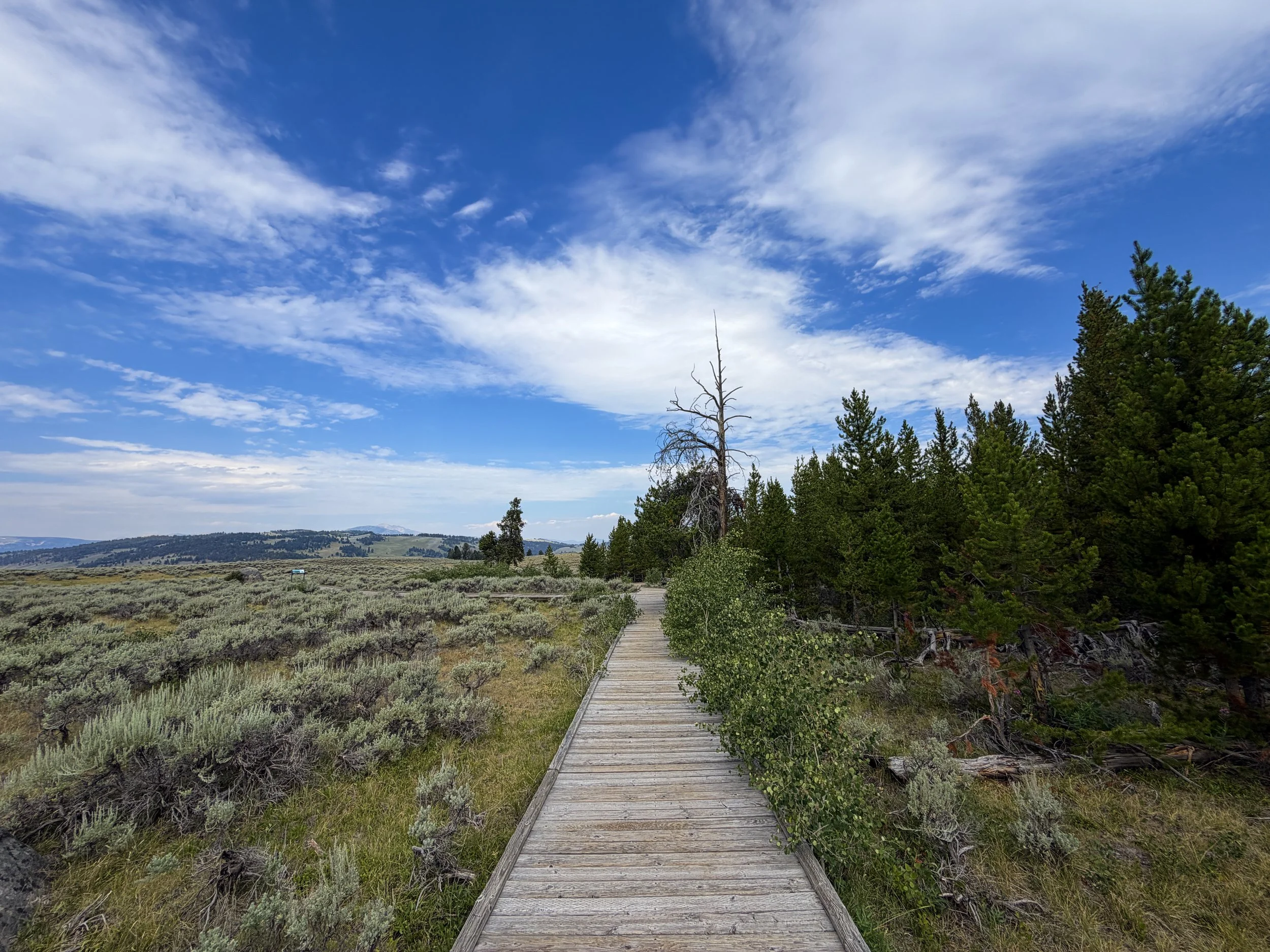 Forces of the Northern Range Trail Yellowstone National Park Wyoming