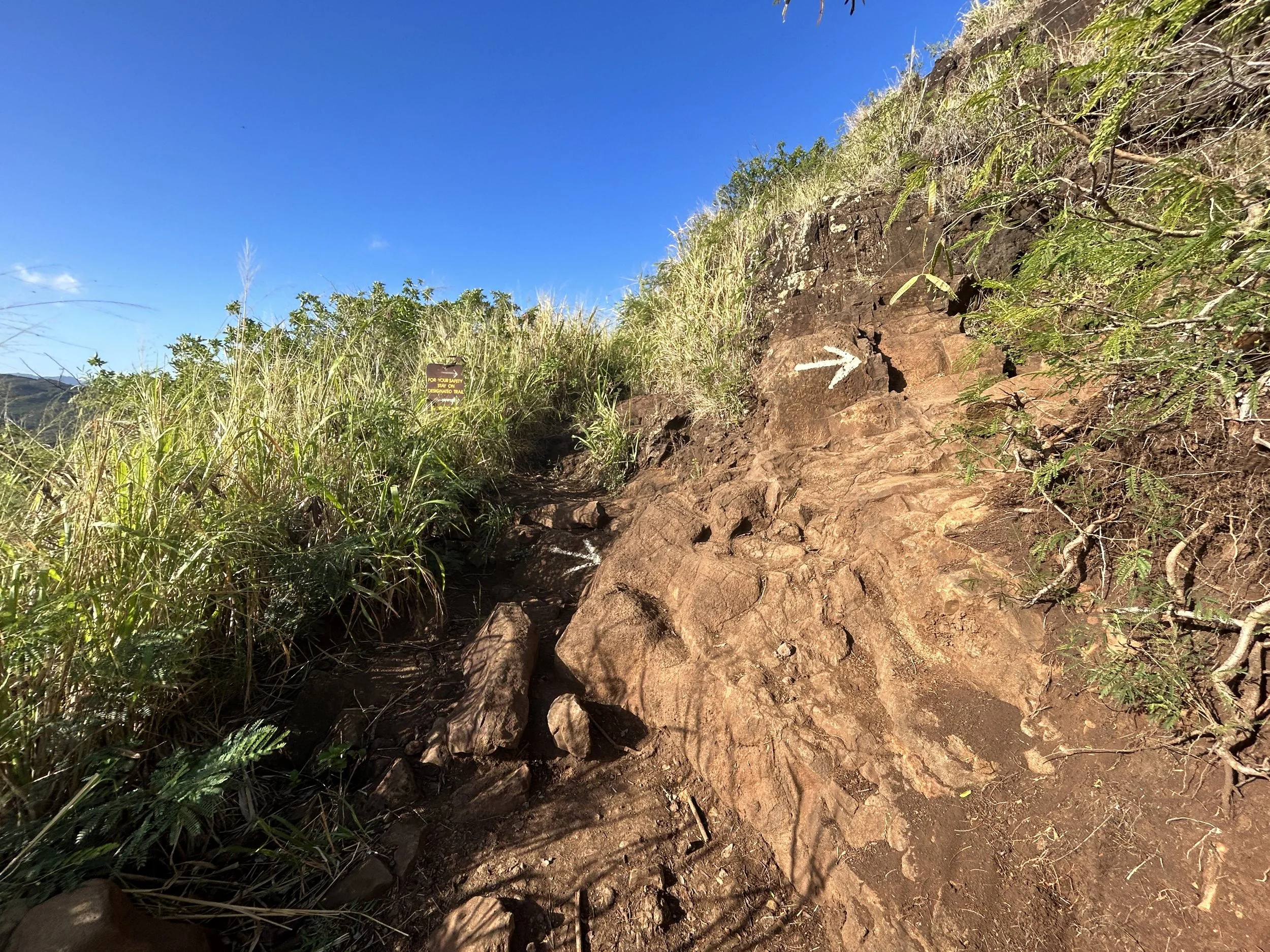 Hiking the East Sleeping Giant Trail (Nounou Mountain) on Kauaʻi