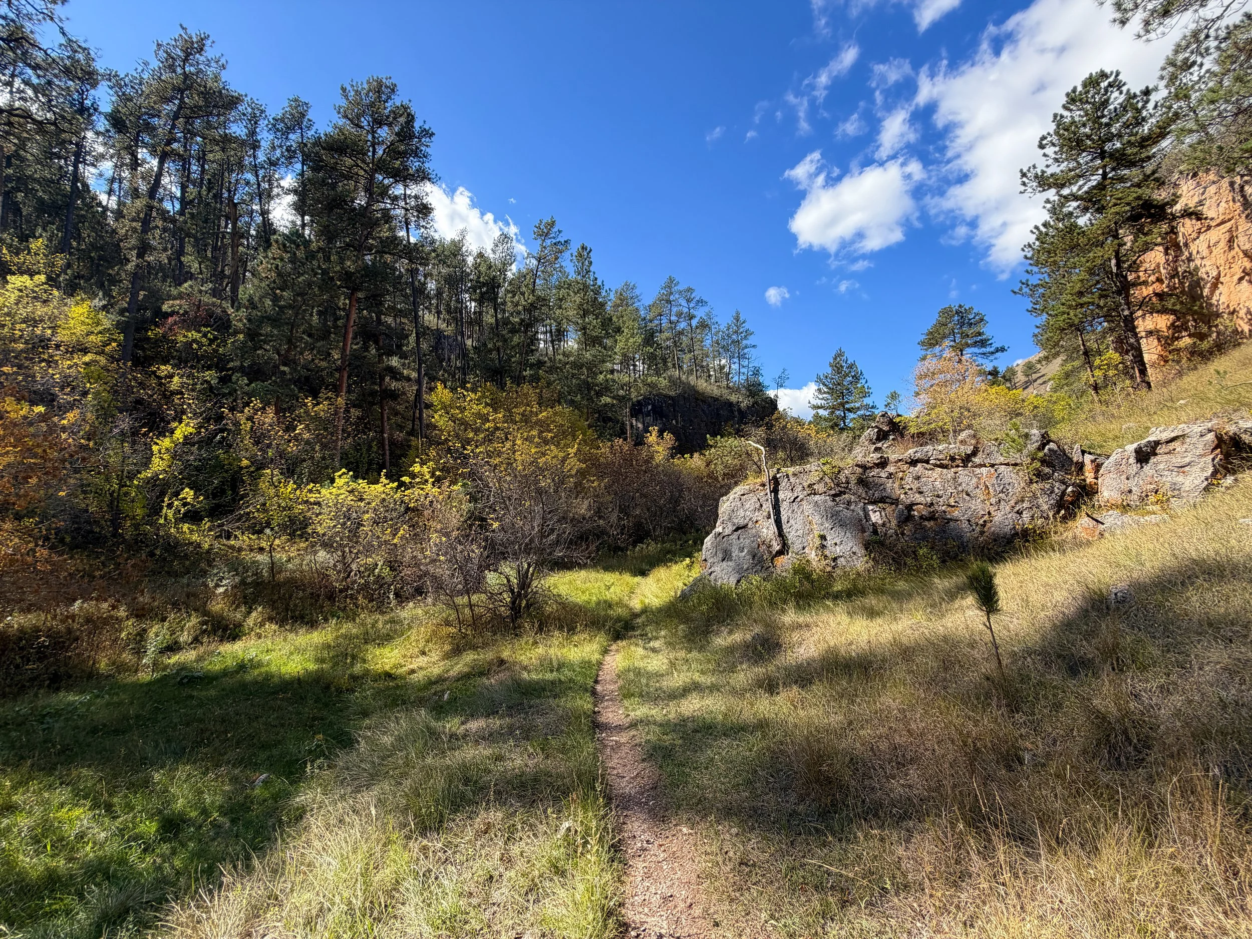 Lookout Point Loop Trail Wind Cave National Park South Dakota