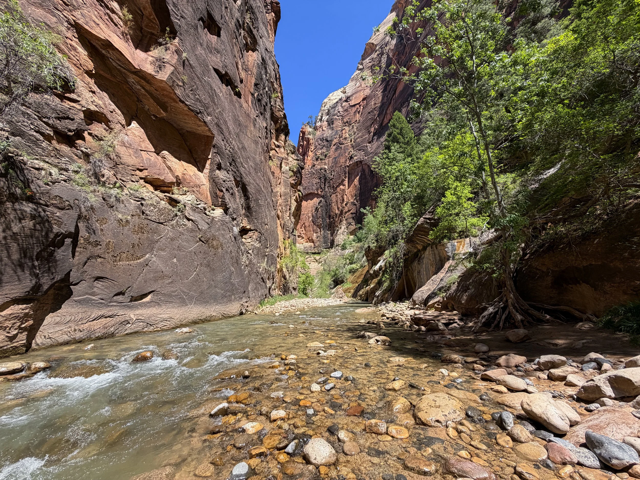Narrows Hike Zion National Park Utah