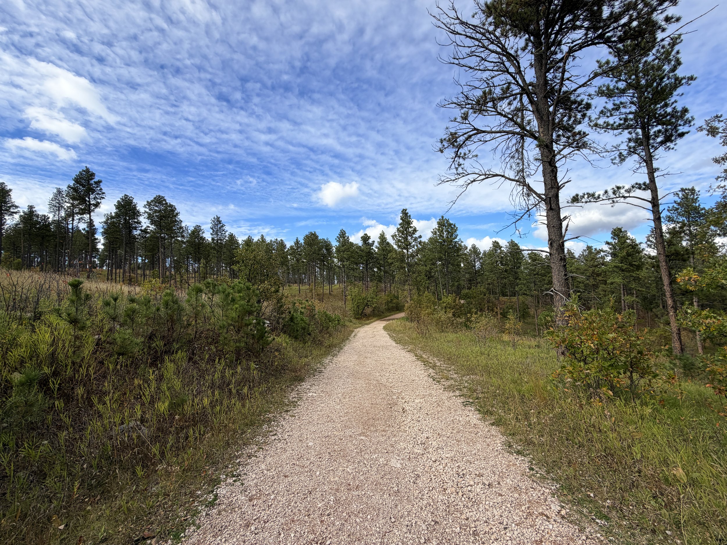 Stratobowl Rim Trail Black Hills South Dakota