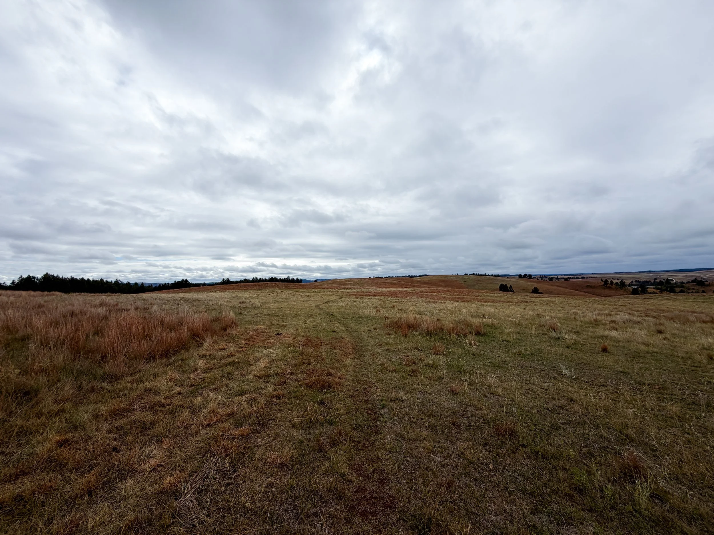 Highland Creek Trail Wind Cave National Park South Dakota