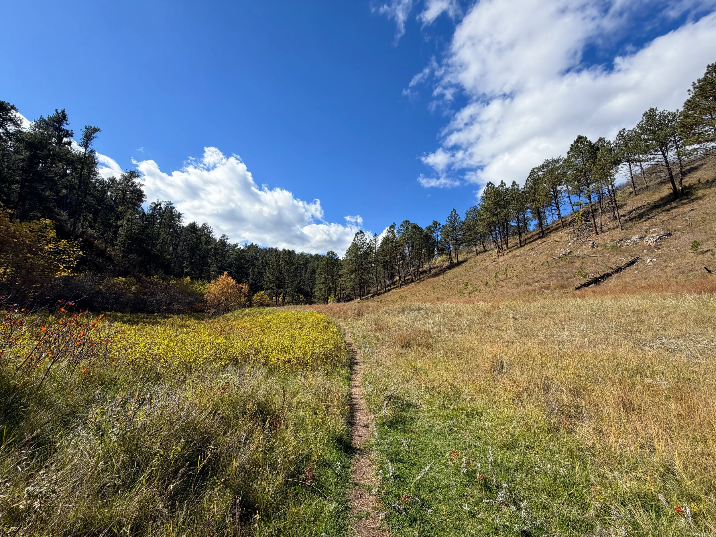 Lookout Point Loop Trail Wind Cave National Park South Dakota