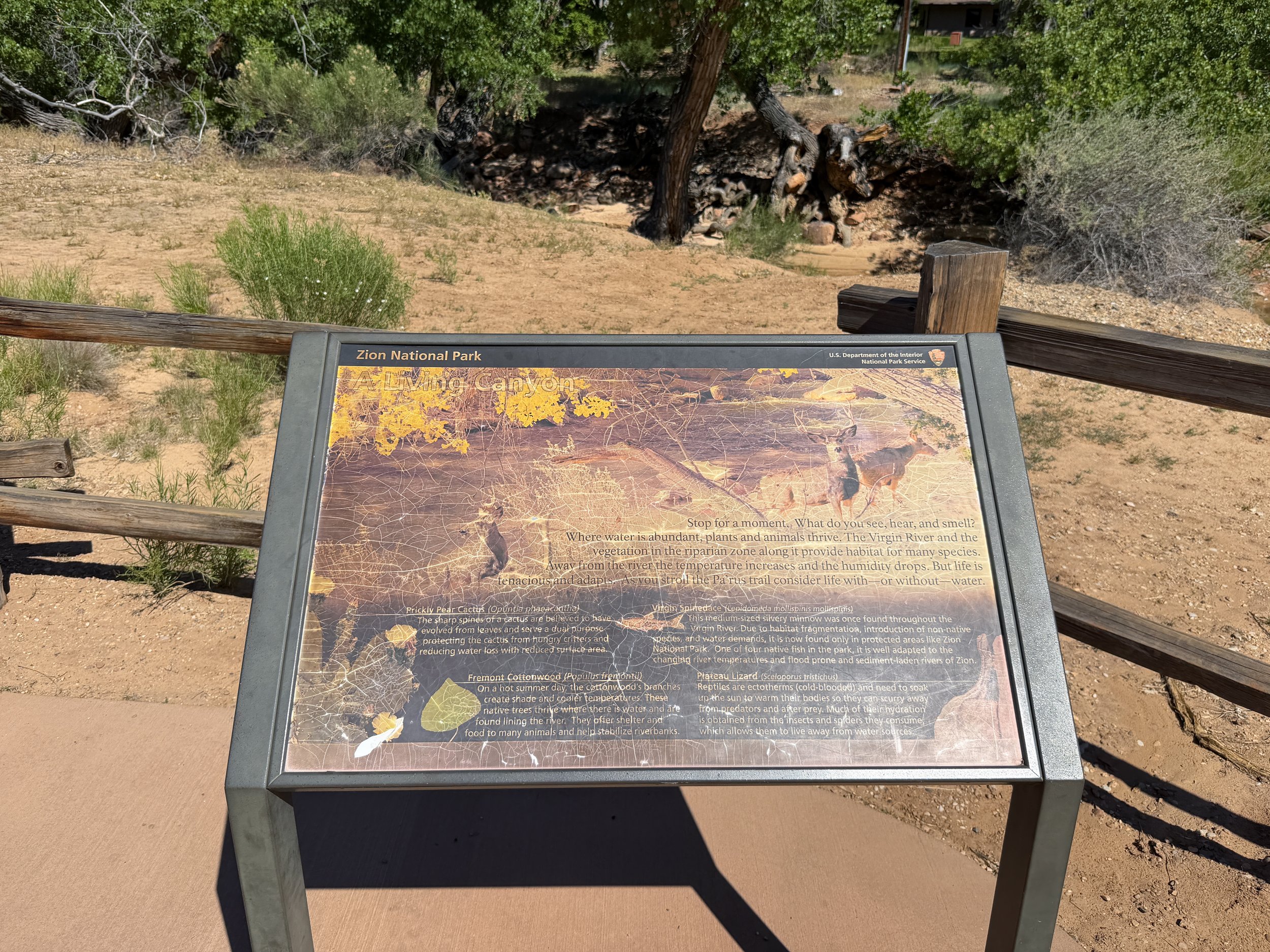 Parus Trail Zion National Park Utah