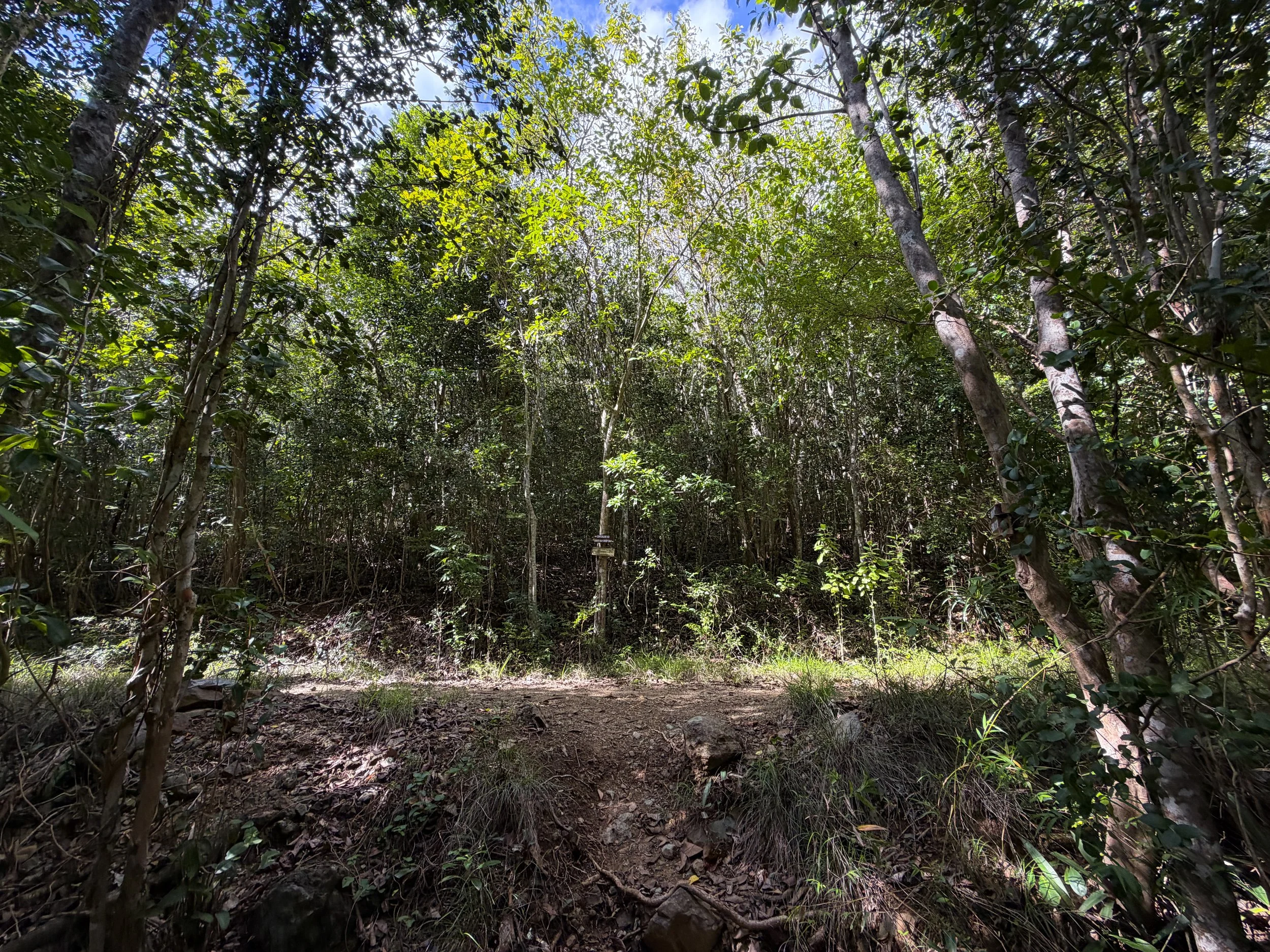 Great Sieben Trail Virgin Islands National Park