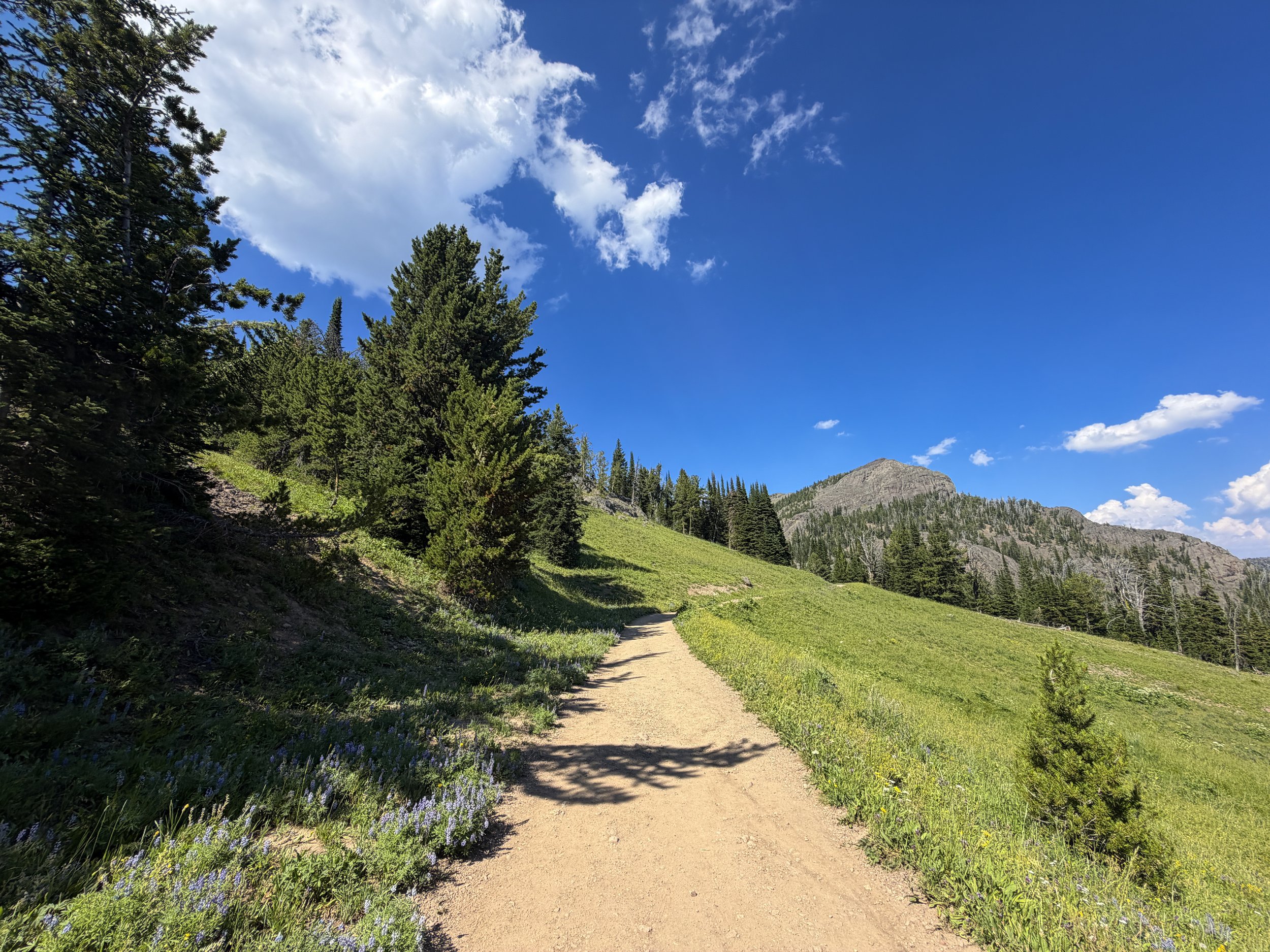 Mount Washburn Trail via Dunraven Pass Yellowstone National Park Wyoming