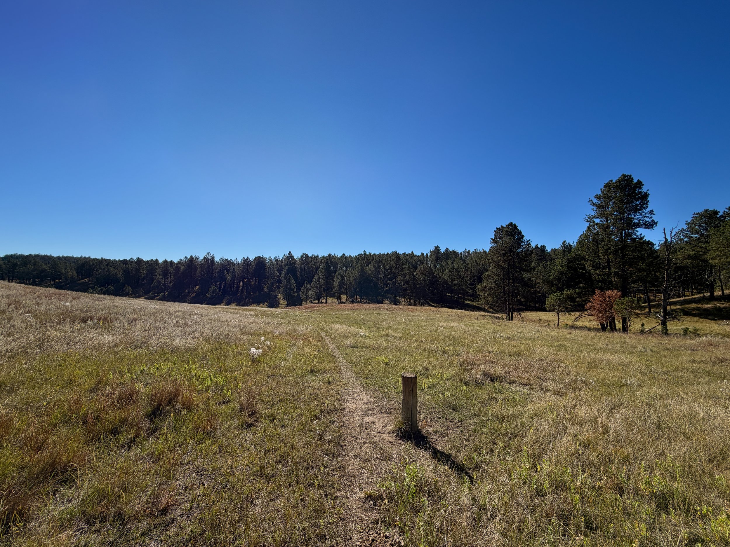 Sanctuary Trail Wind Cave National Park South Dakota