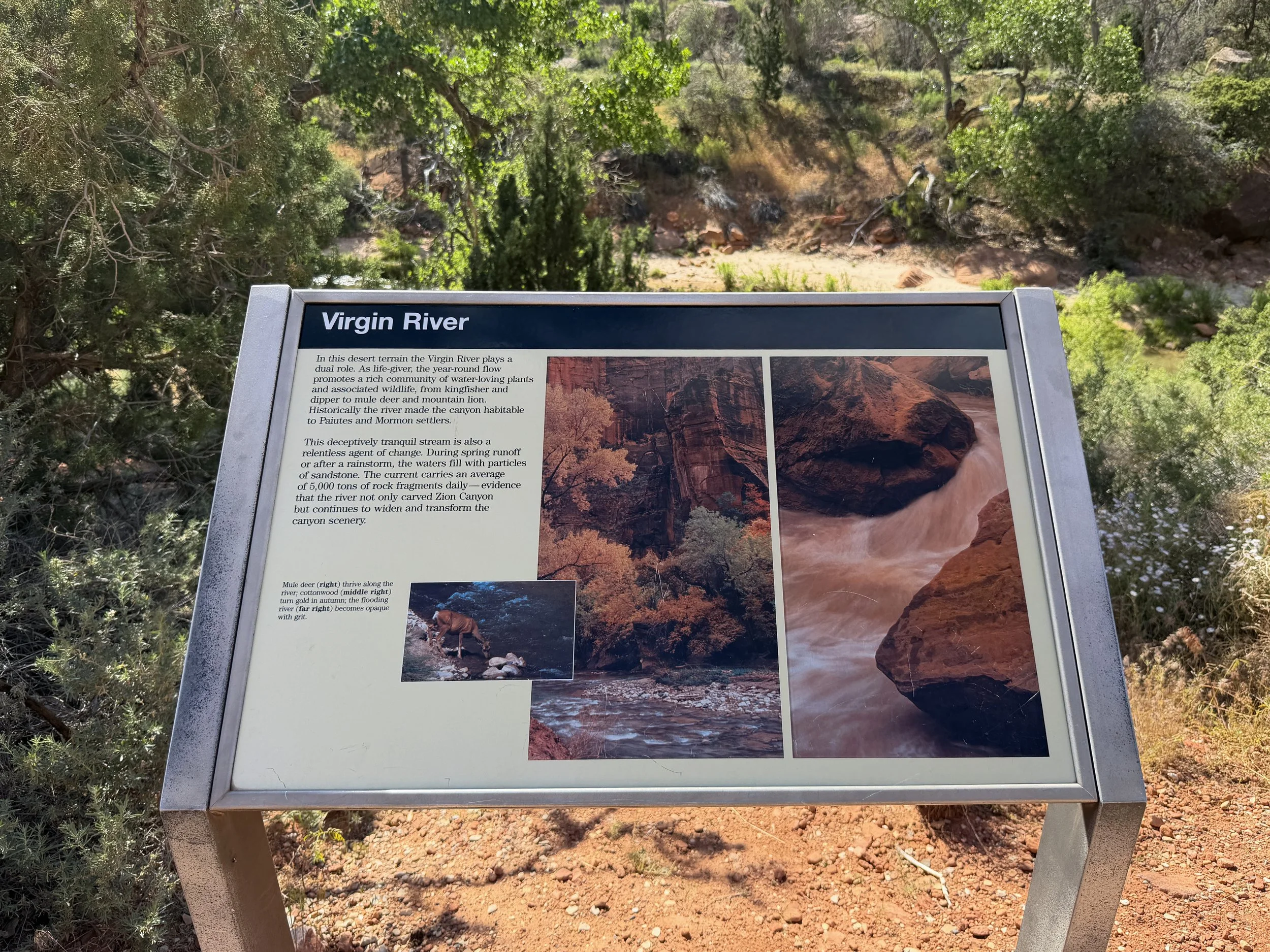 Parus Hike Zion National Park Utah