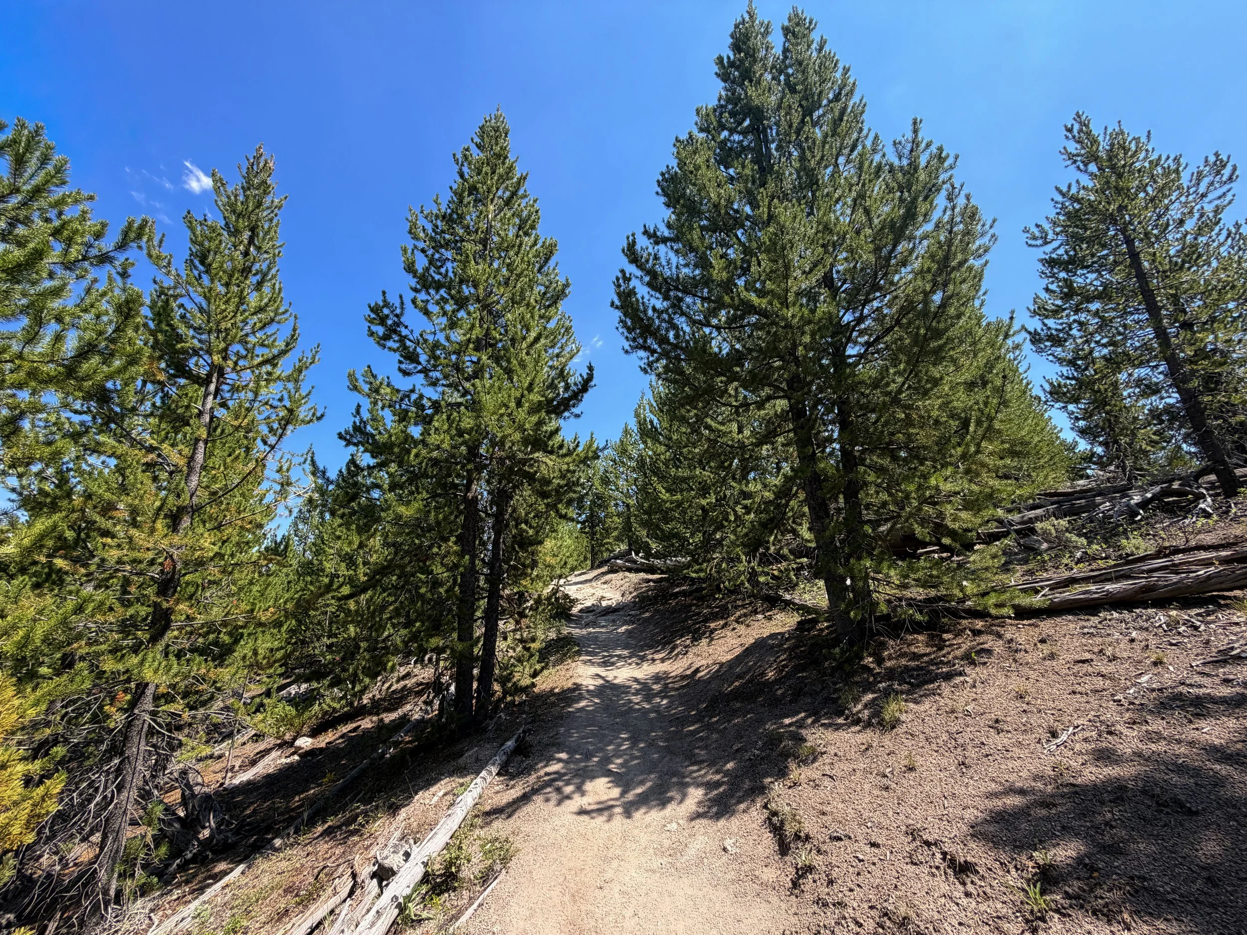 Bunsen Peak Trail Yellowstone National Park Wyoming