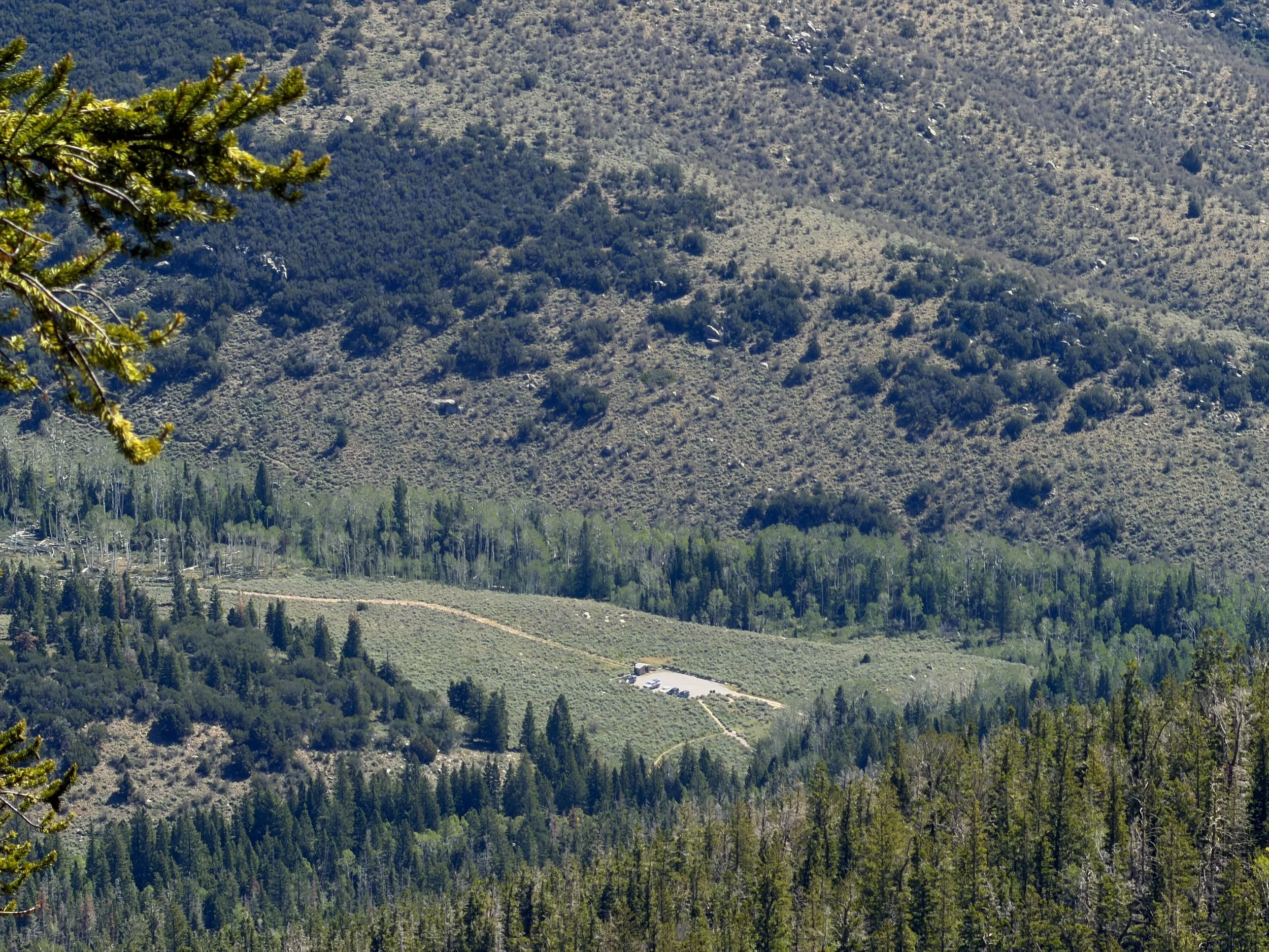 Snake Divide Trail Great Basin National Park Nevada