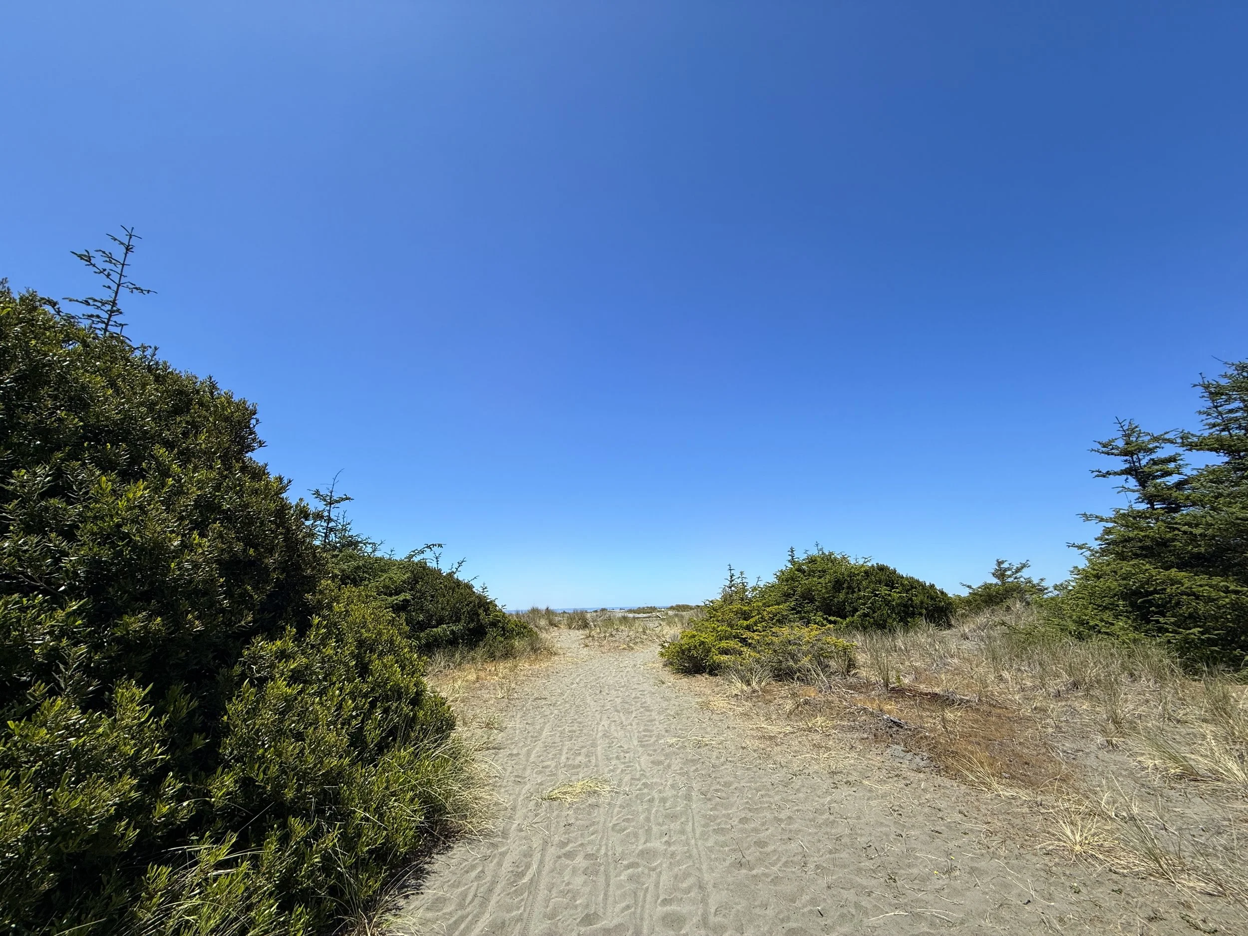 Ossagon Trail Prairie Creek Redwoods State Park California