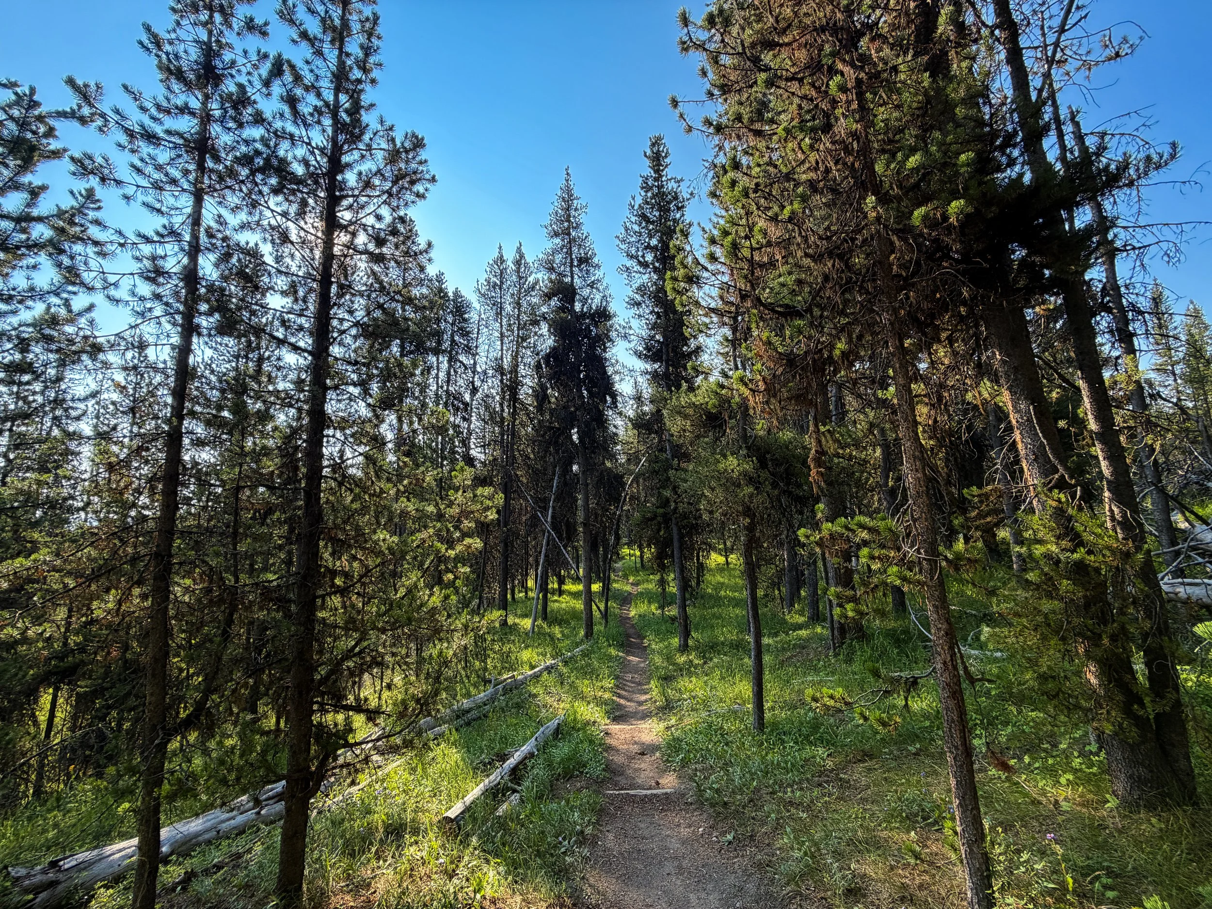 Natural Bridge Trail Yellowstone National Park Wyoming