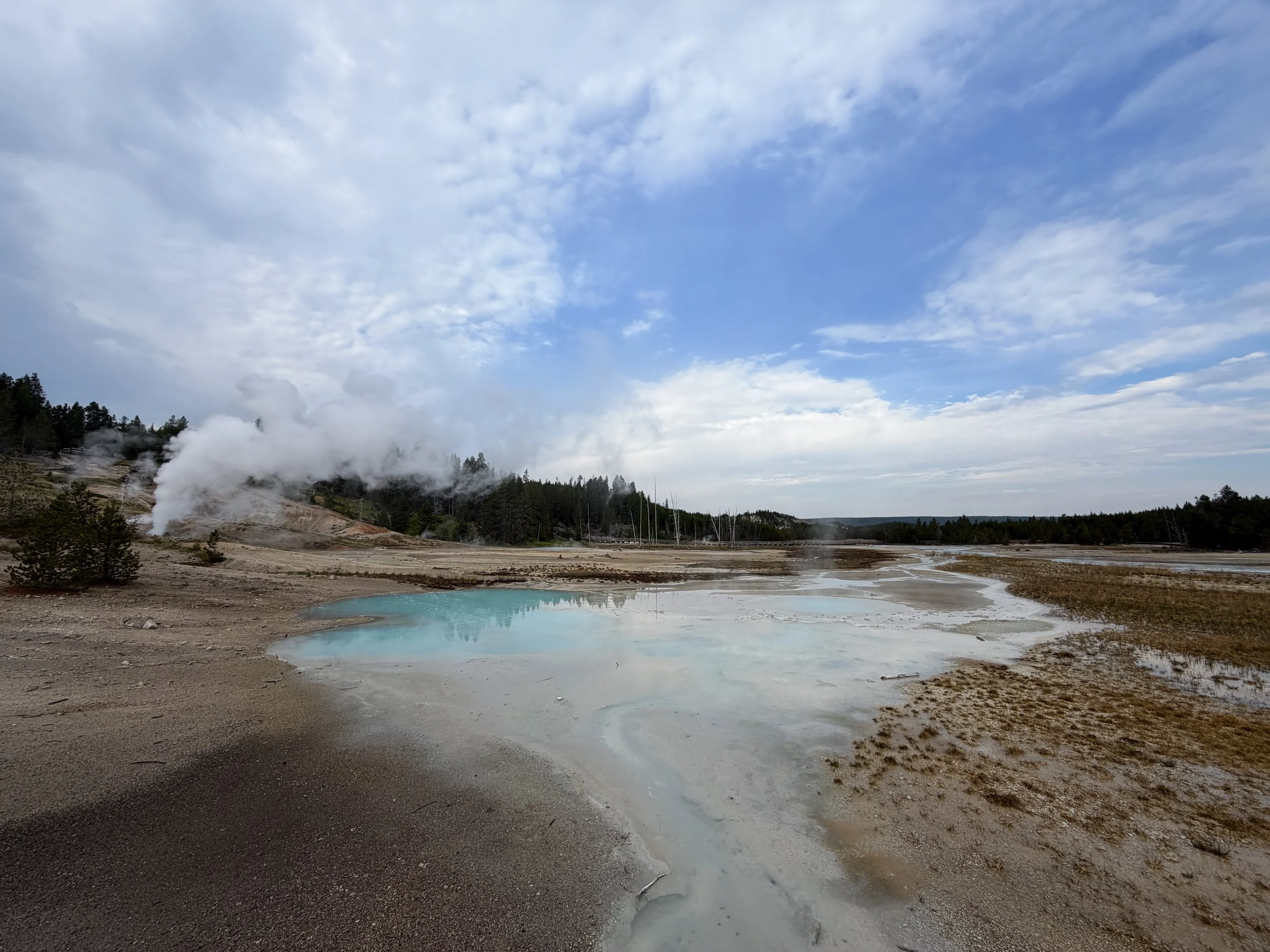 Scummy Pool Norris Geyser Basin Trail Yellowstone National Park Wyoming