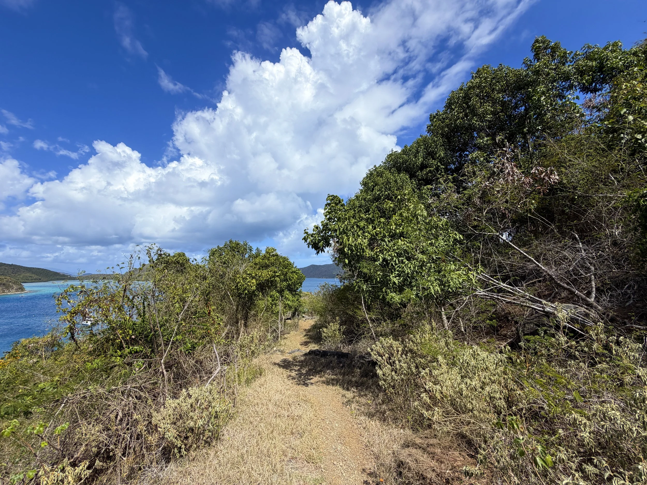 Johnny Horn Trail to Waterlemon Bay Virgin Islands National Park