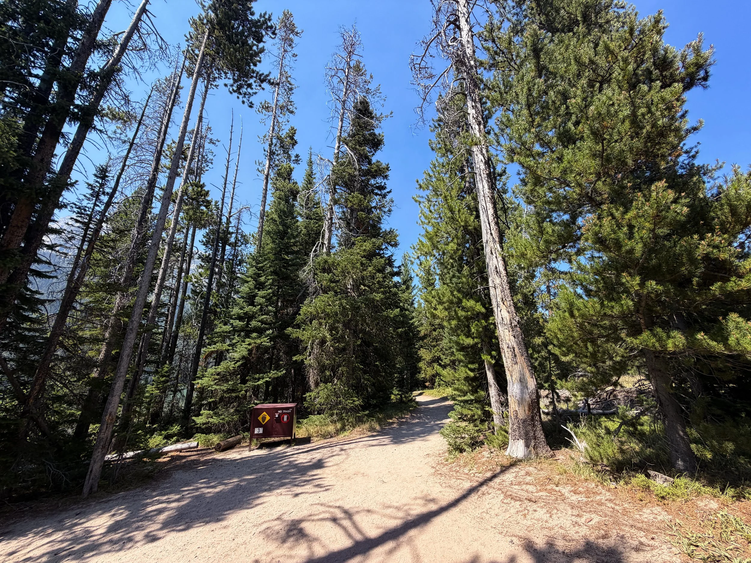 String Lake Loop Trail Grand Teton National Park Wyoming